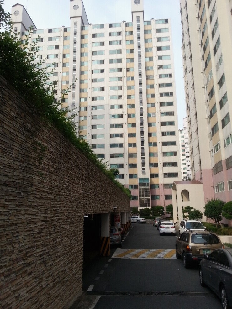 월영동 실거주자 사진 8