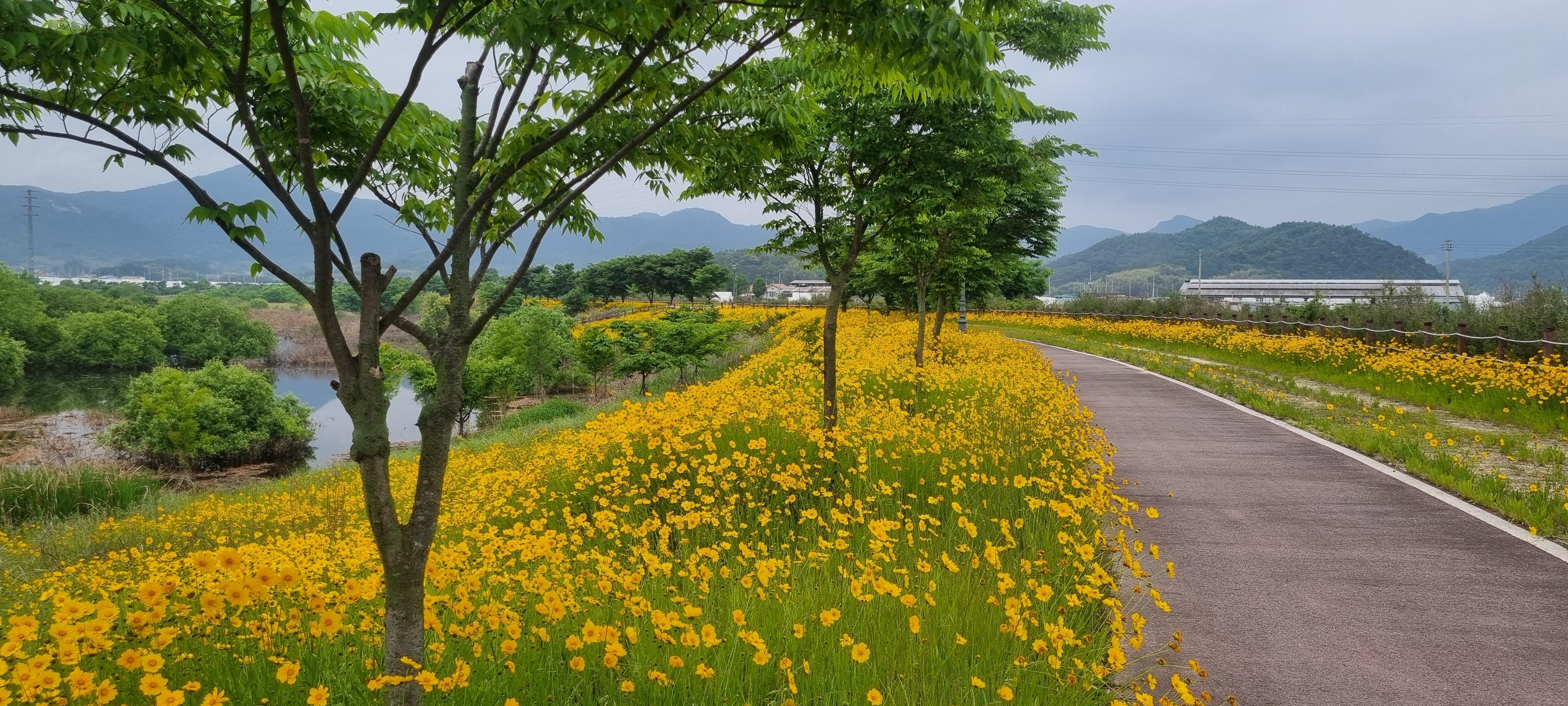 담양읍 실거주자 사진 3