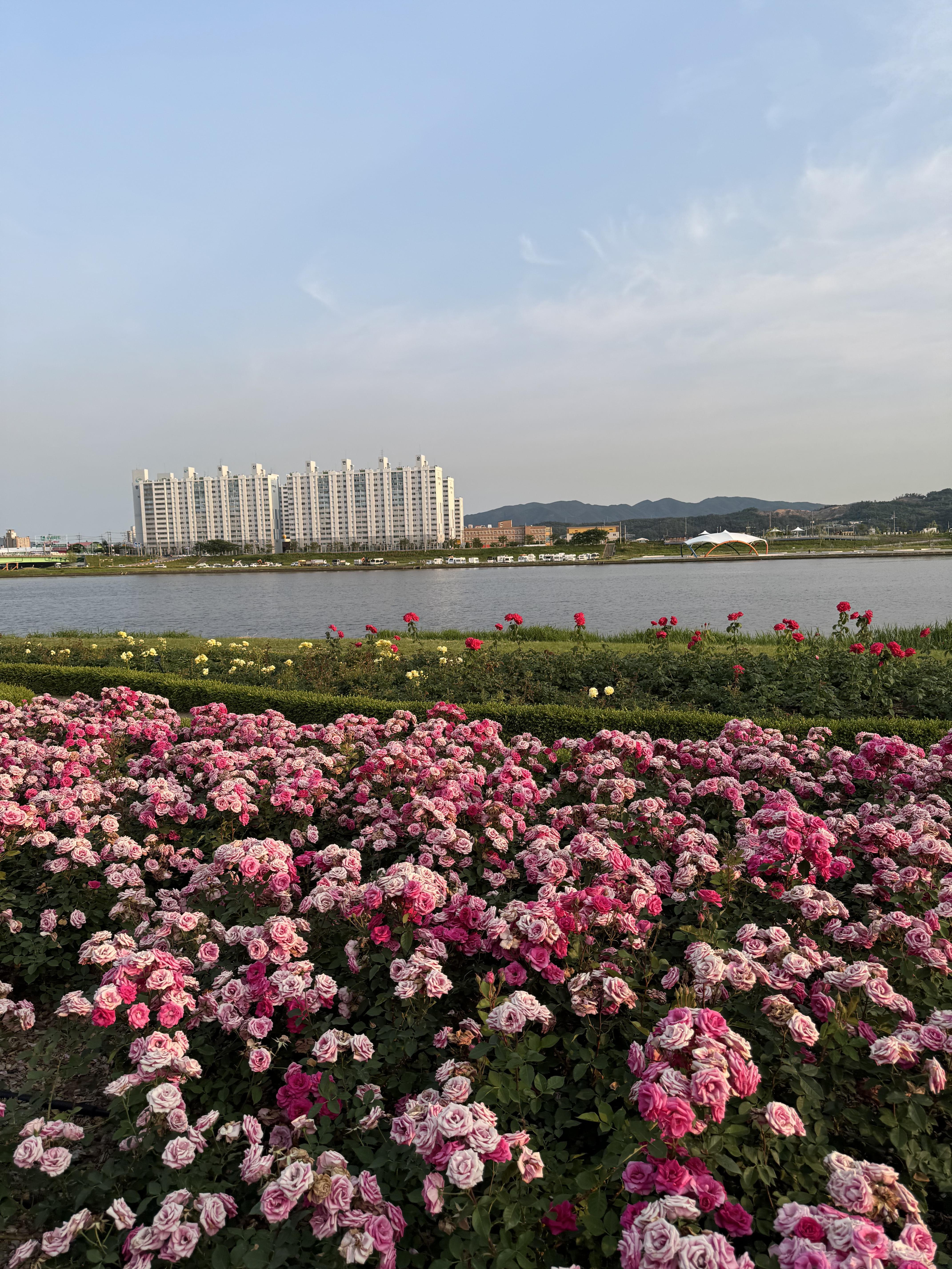 연일읍 실거주자 사진 1