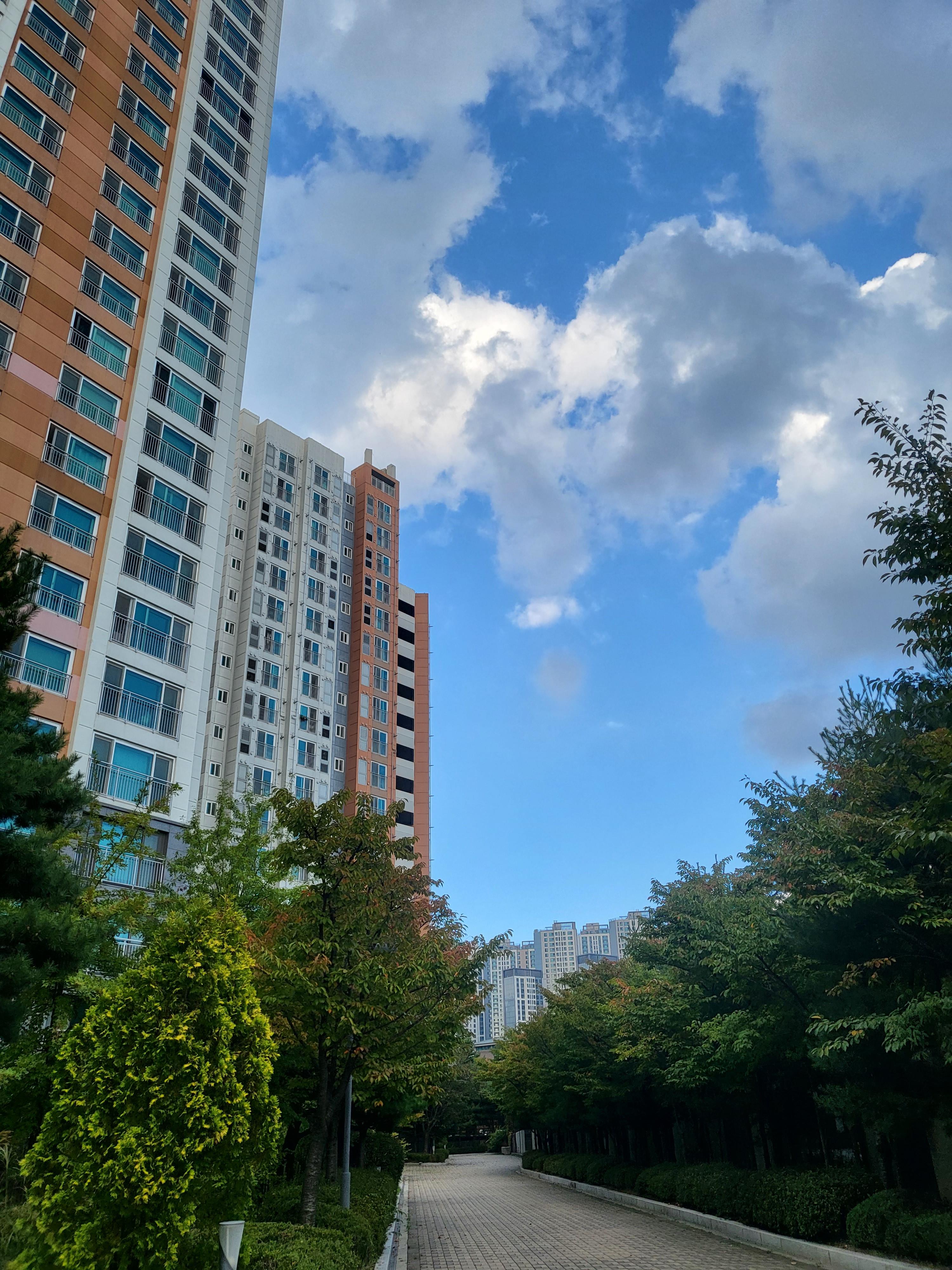대흥동 실거주자 사진 3