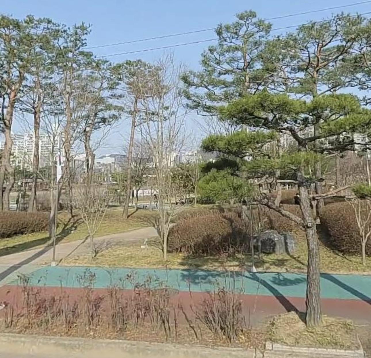 동문동 실거주자 사진 2