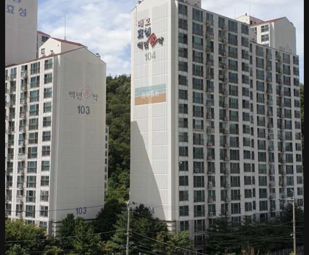 매호동 실거주자 사진 6