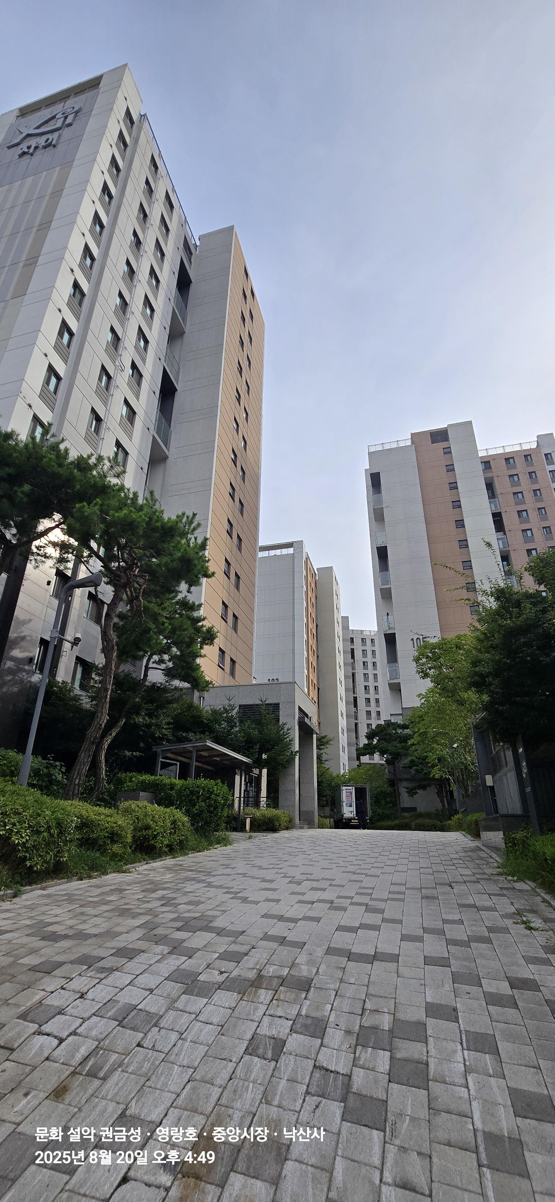 신정동 실거주자 사진 6