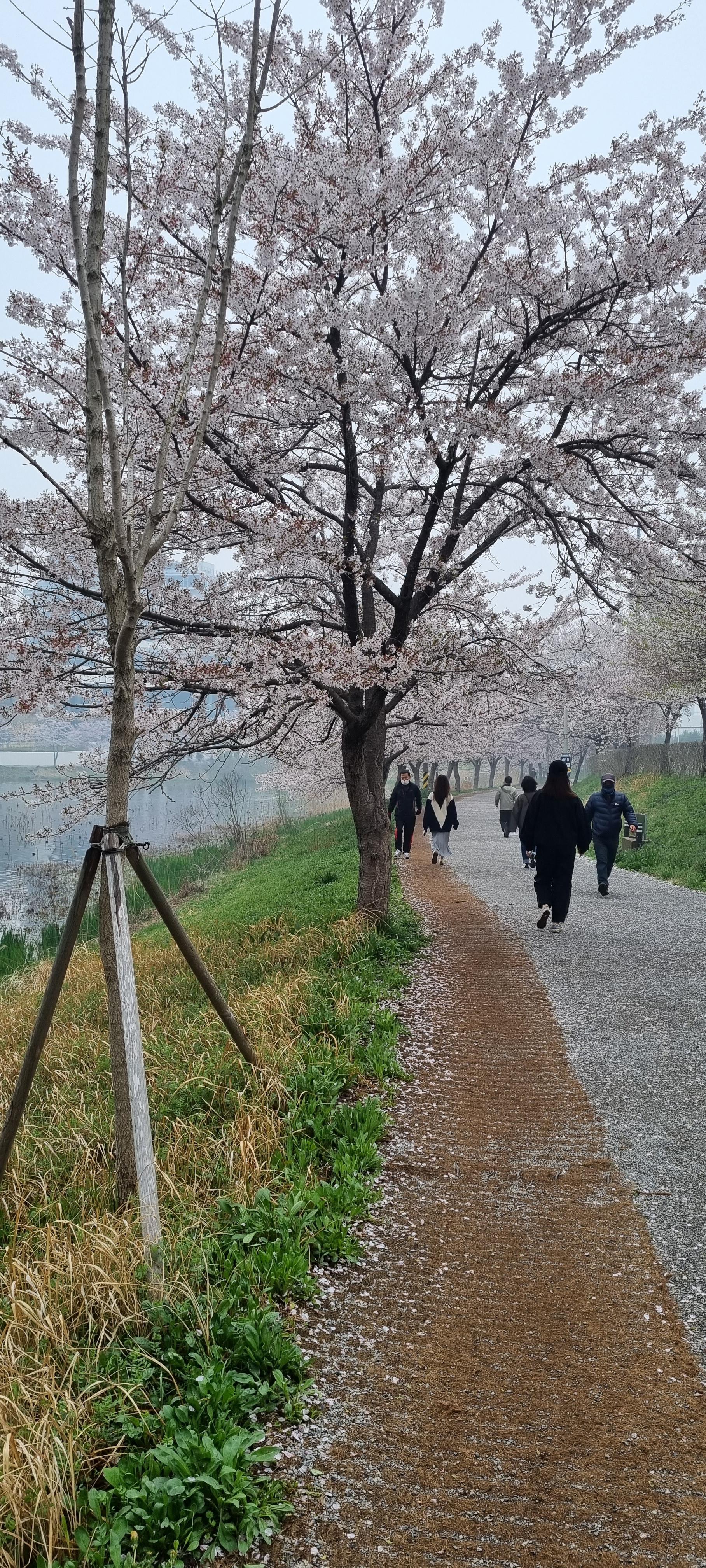 나운동 실거주자 사진 4