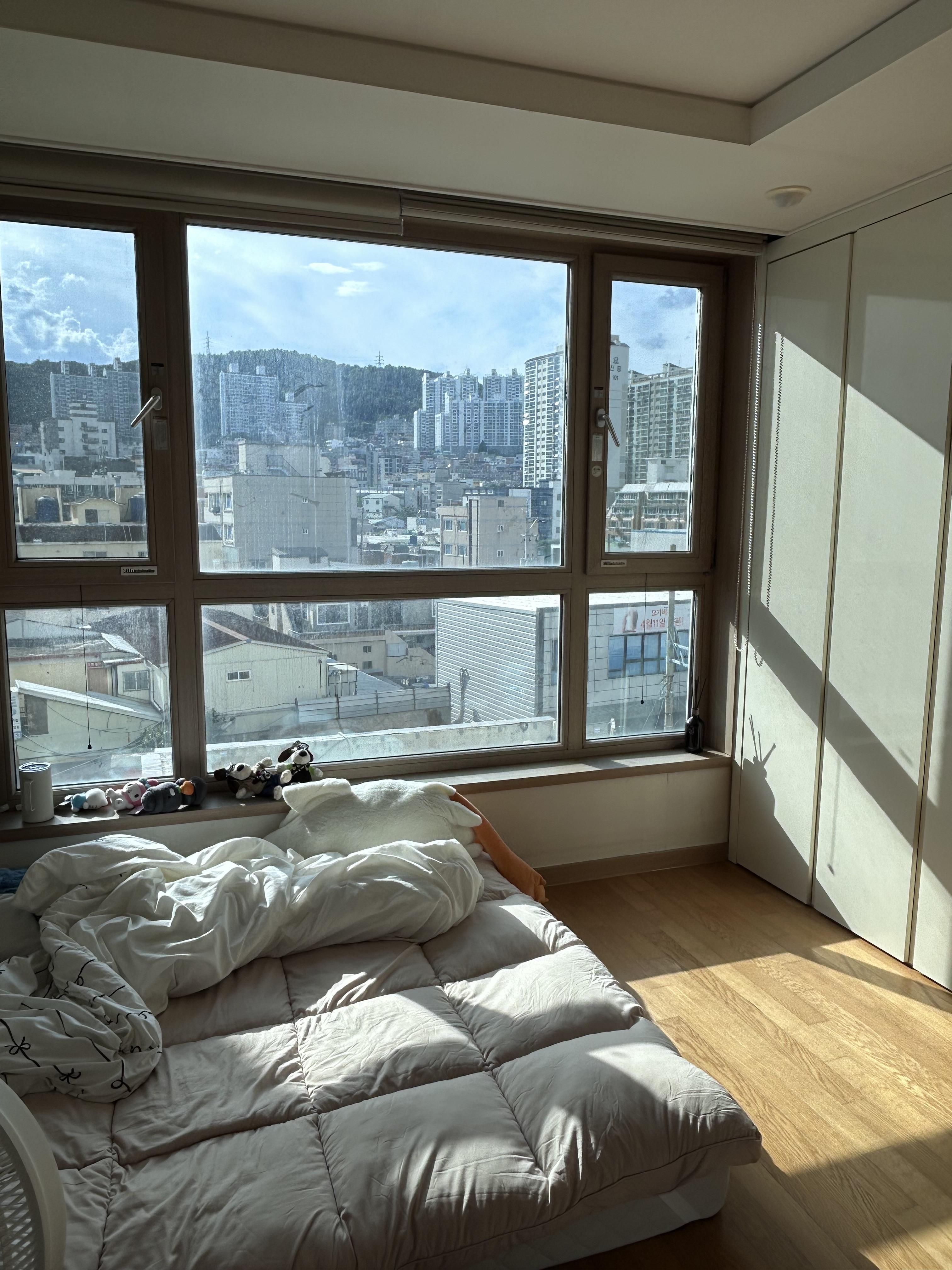 양정동 실거주자 사진 8