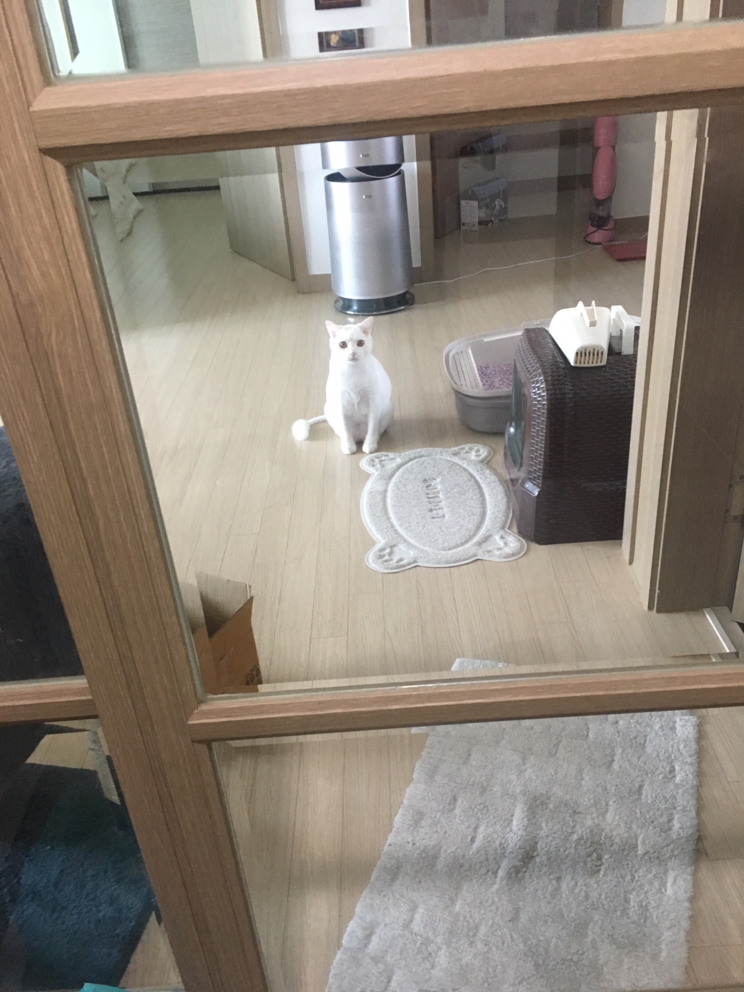 석전동 실거주자 사진 1