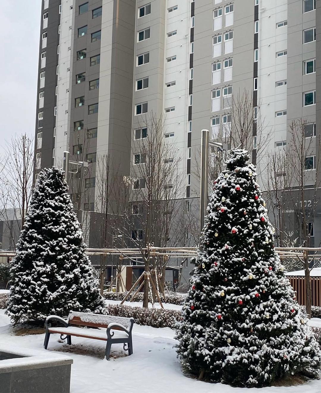우두동 실거주자 사진 7