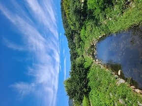 세교동 실거주자 사진 8