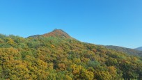 오전동 실거주자 사진 8