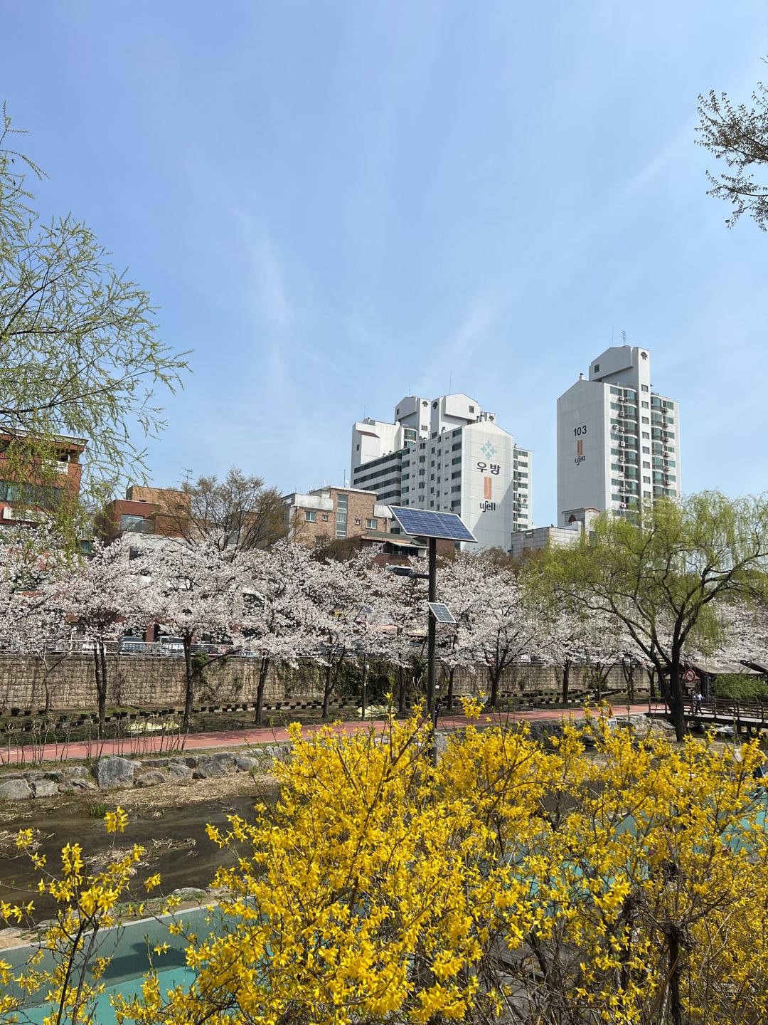 오금동 실거주자 사진 8