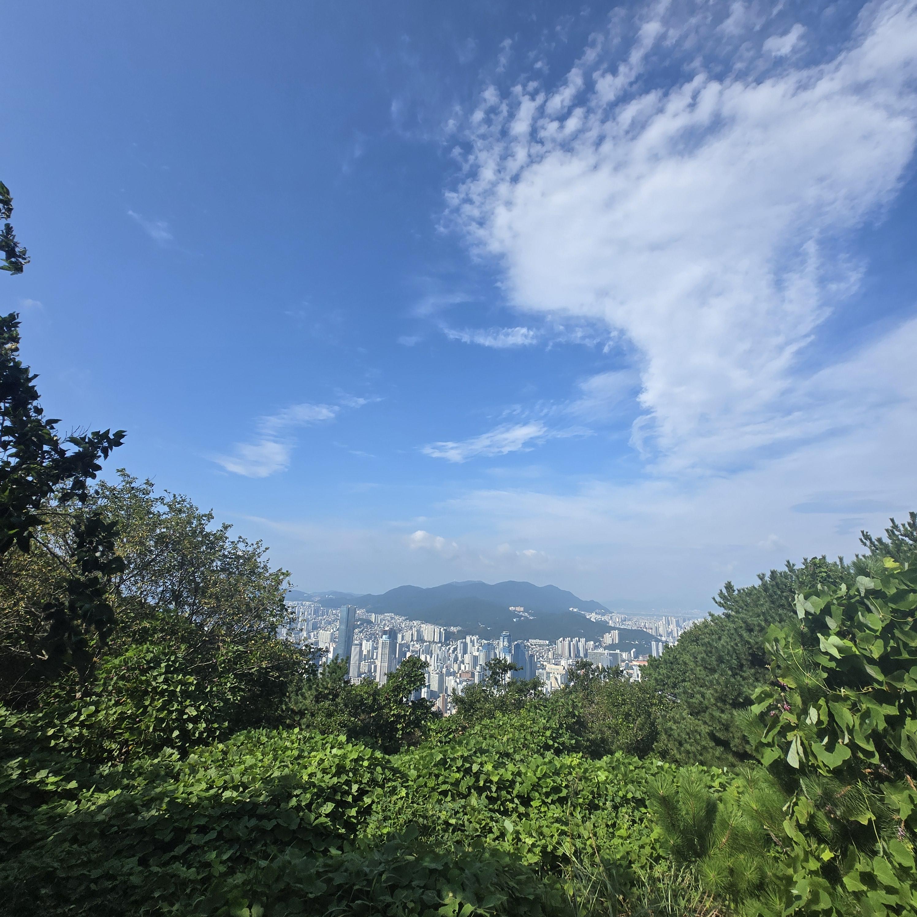 신천동 실거주자 사진 3