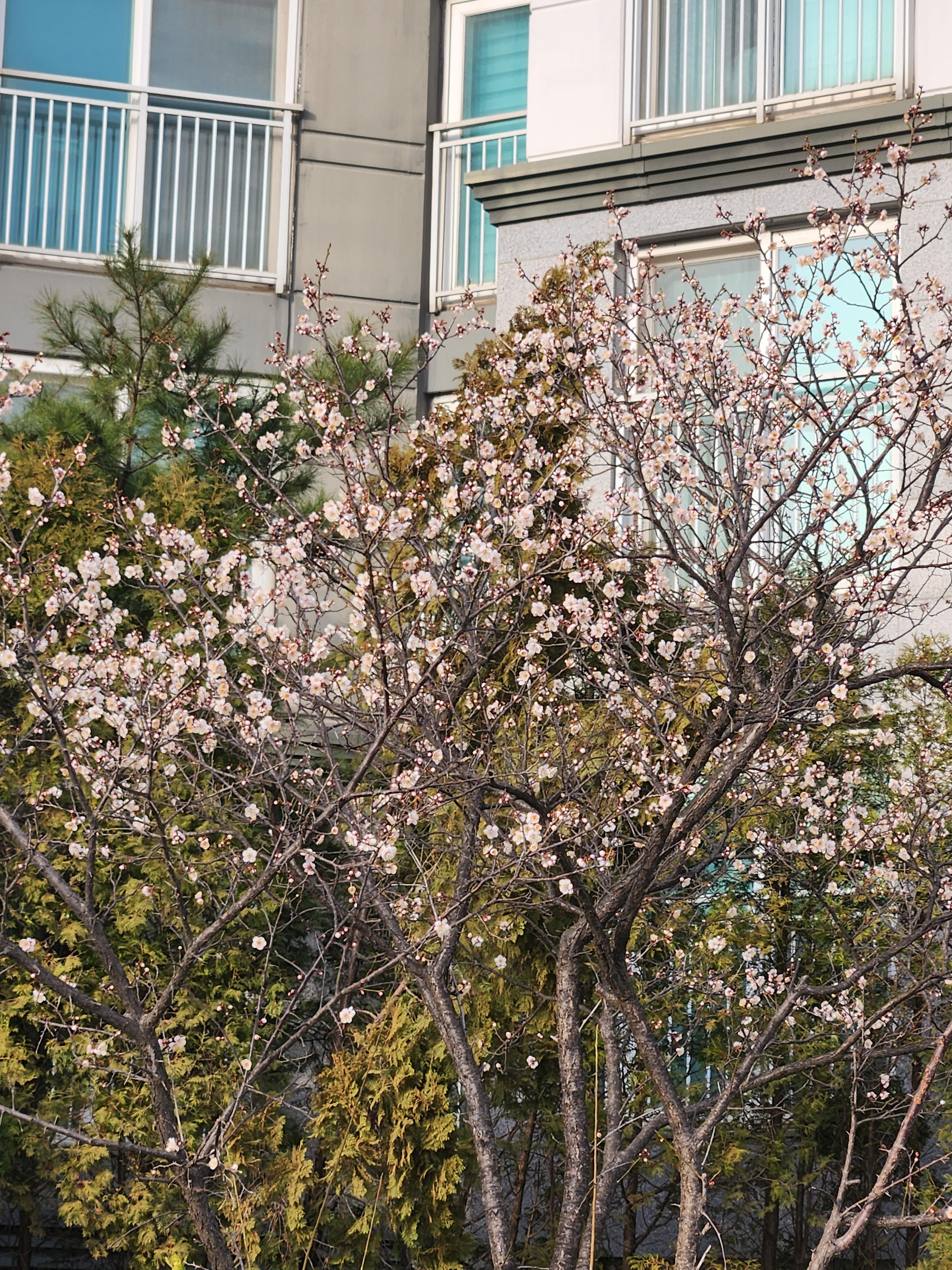 학익동 실거주자 사진 3