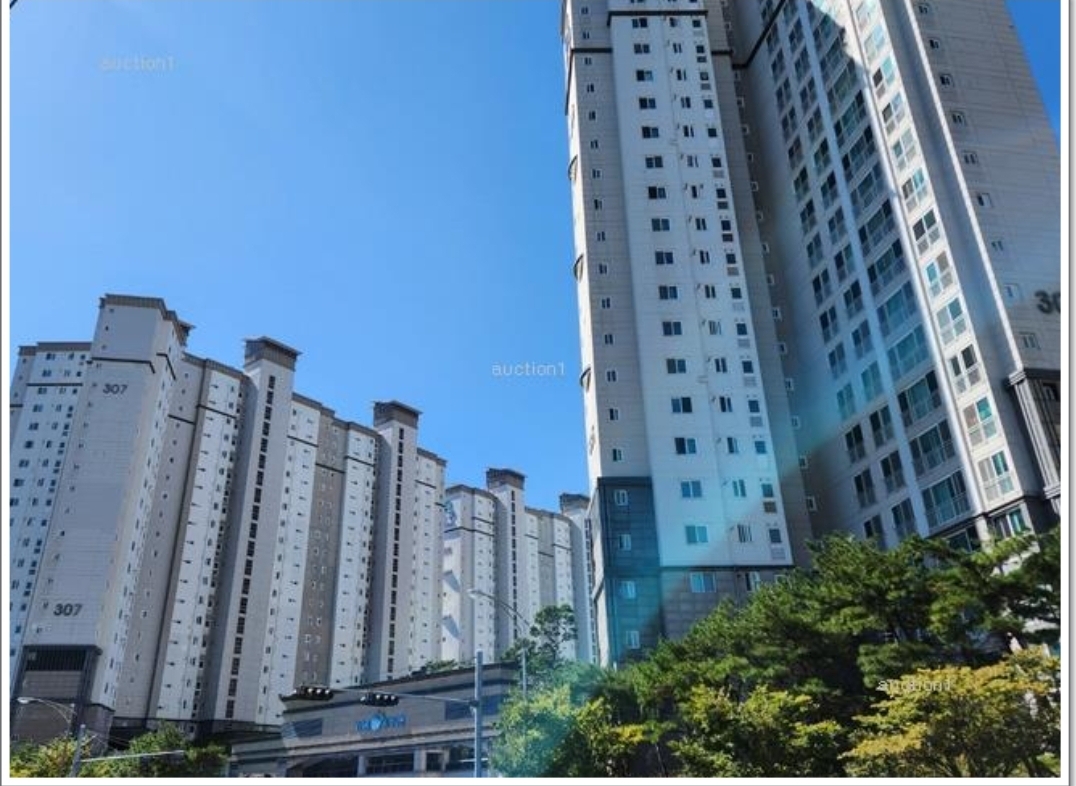 양덕동 실거주자 사진 3