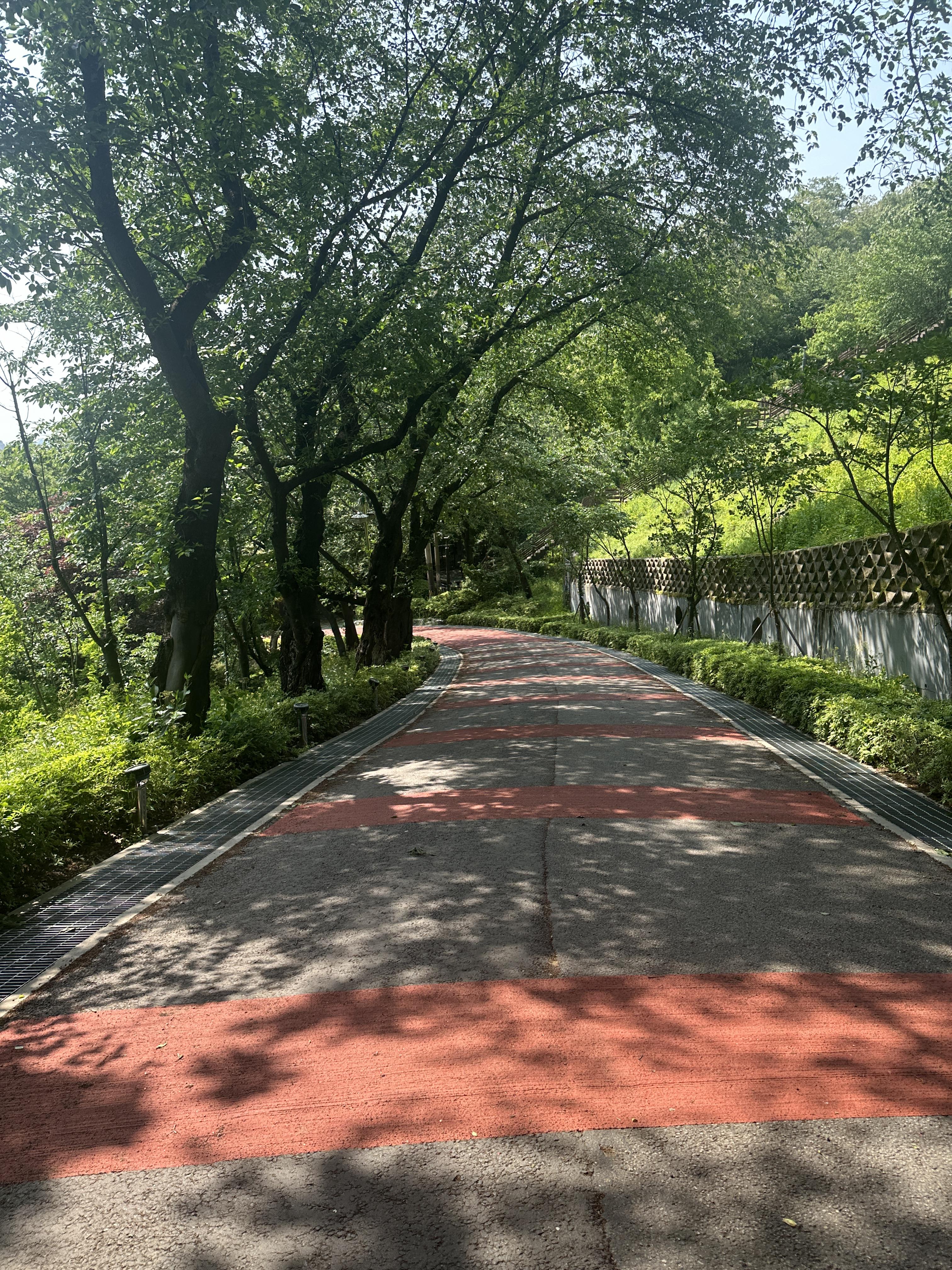 도당동 실거주자 사진 1
