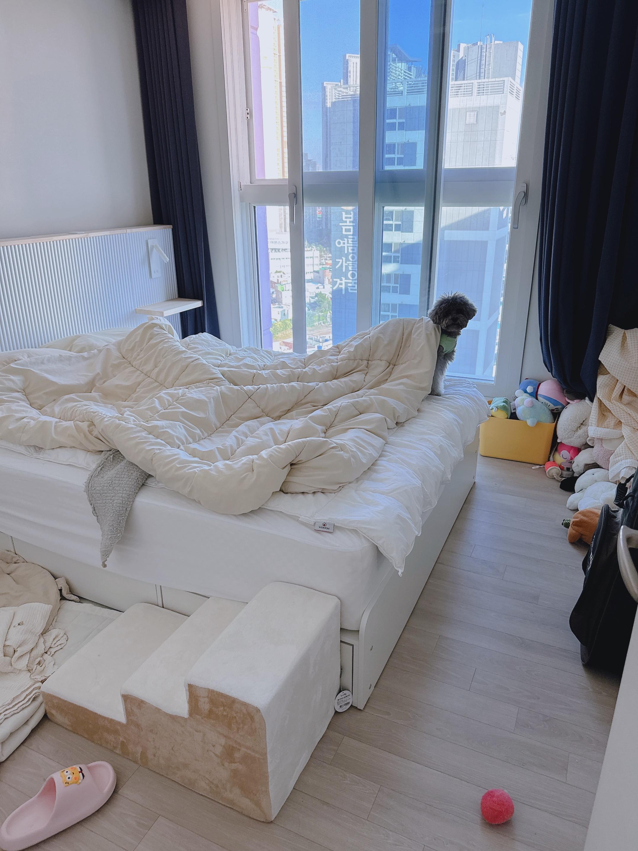 범일동 실거주자 사진 5