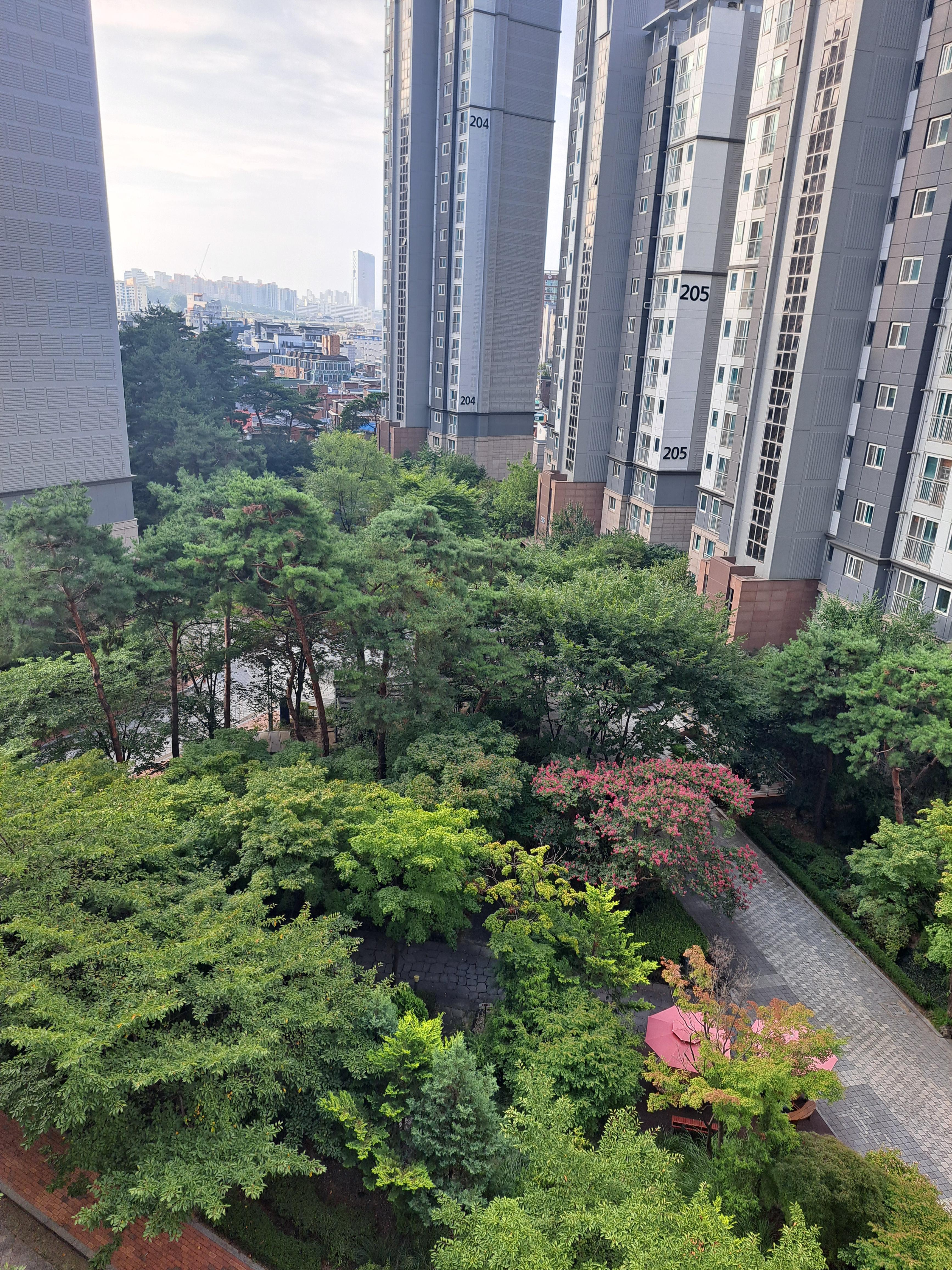 종암동 실거주자 사진 5