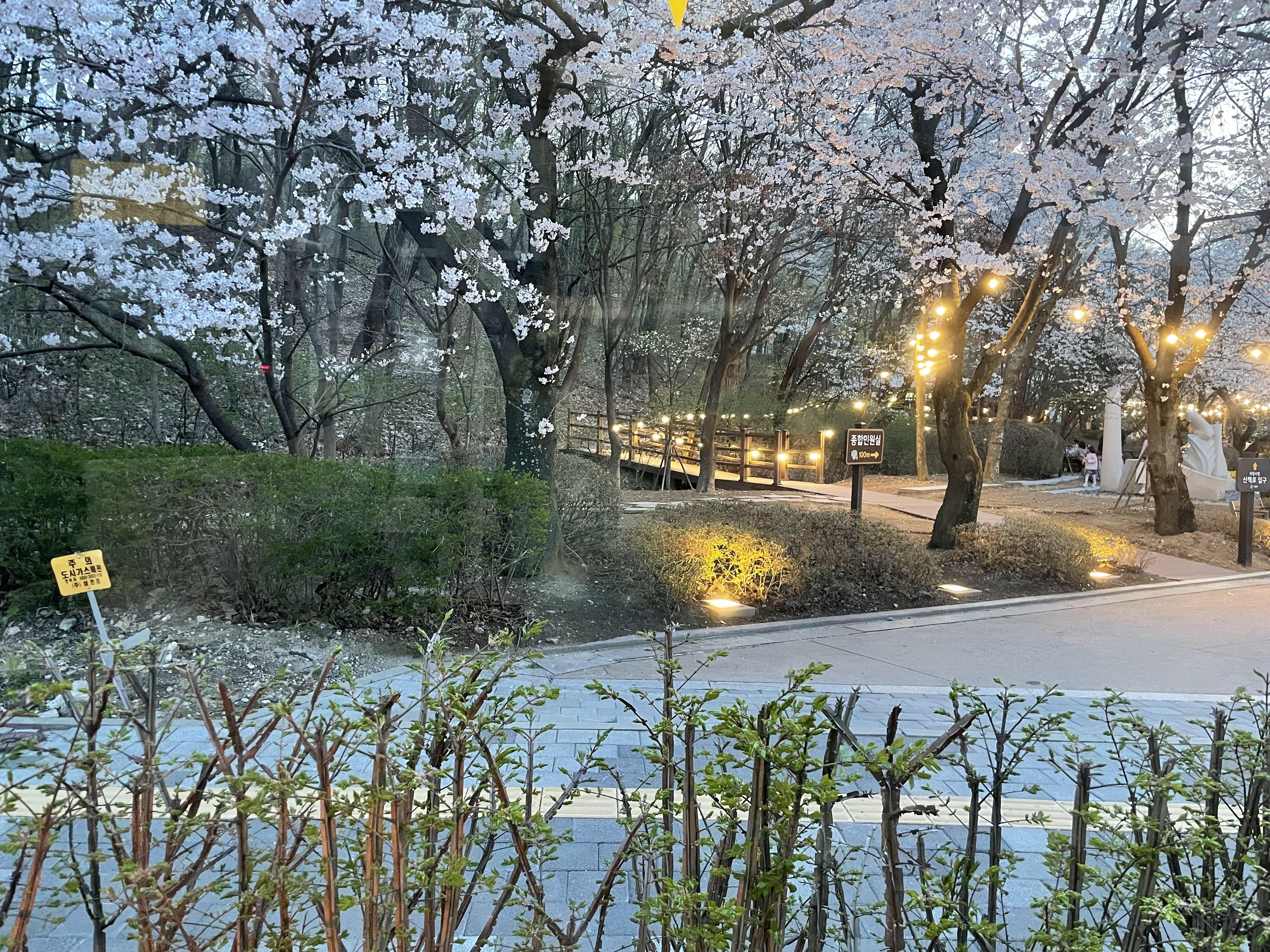 고천동 실거주자 사진 2