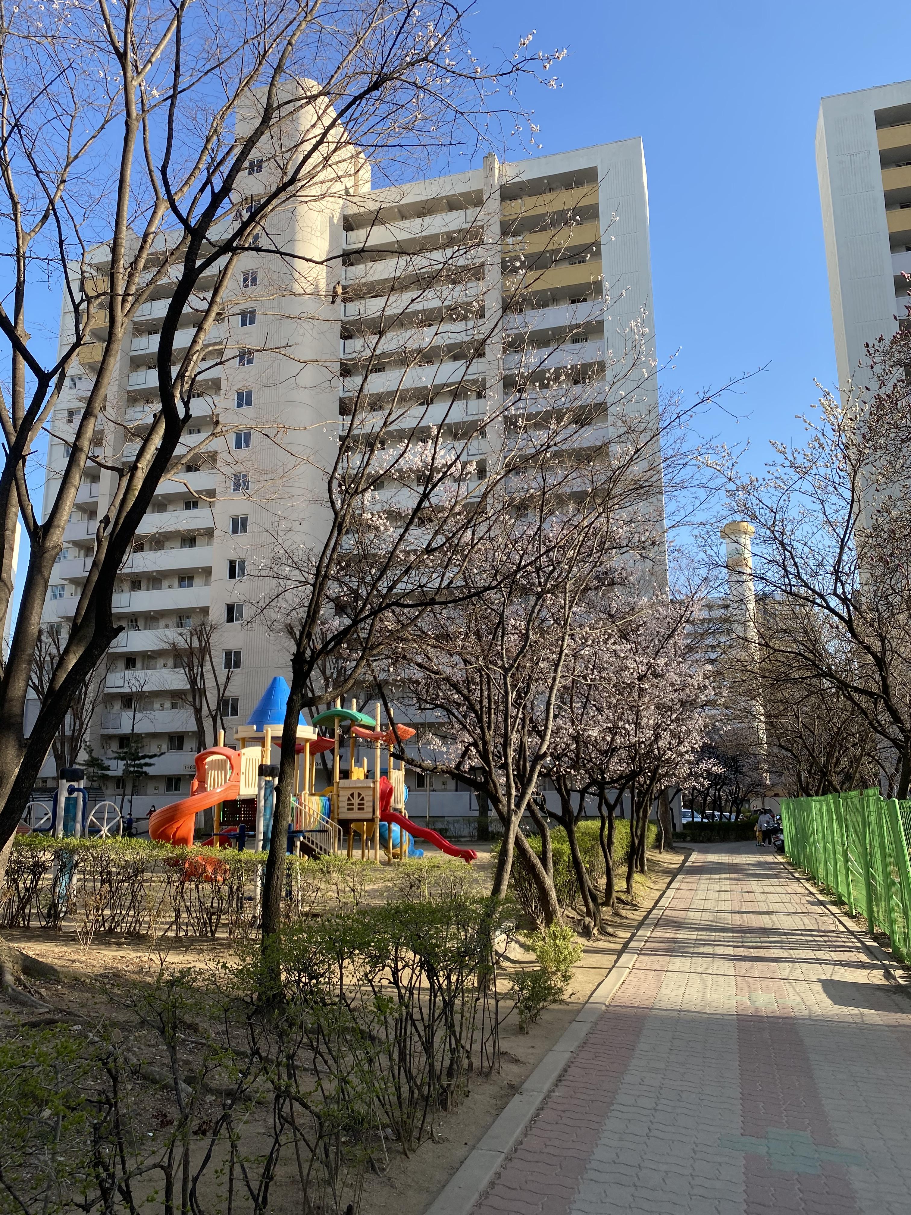 하상동 실거주자 사진 2