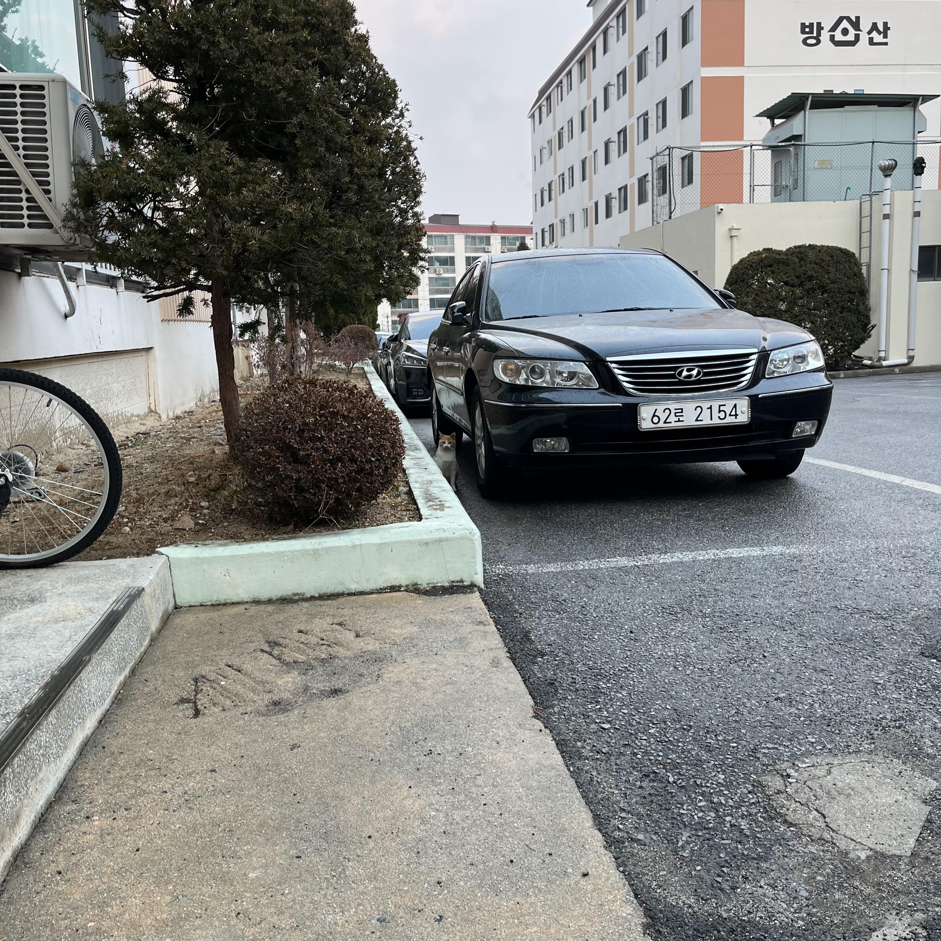 하망동 실거주자 사진 4