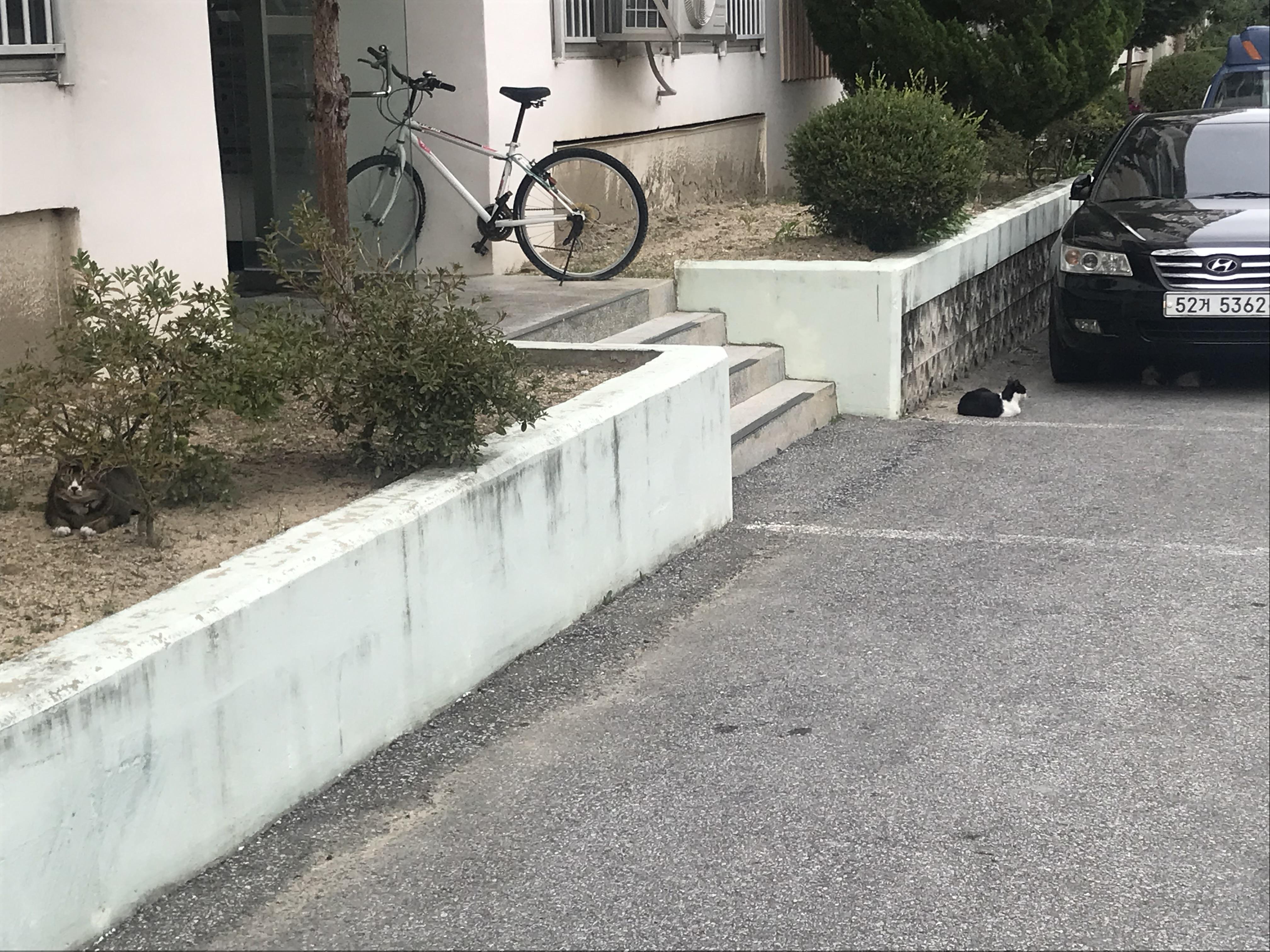 하망동 실거주자 사진 3