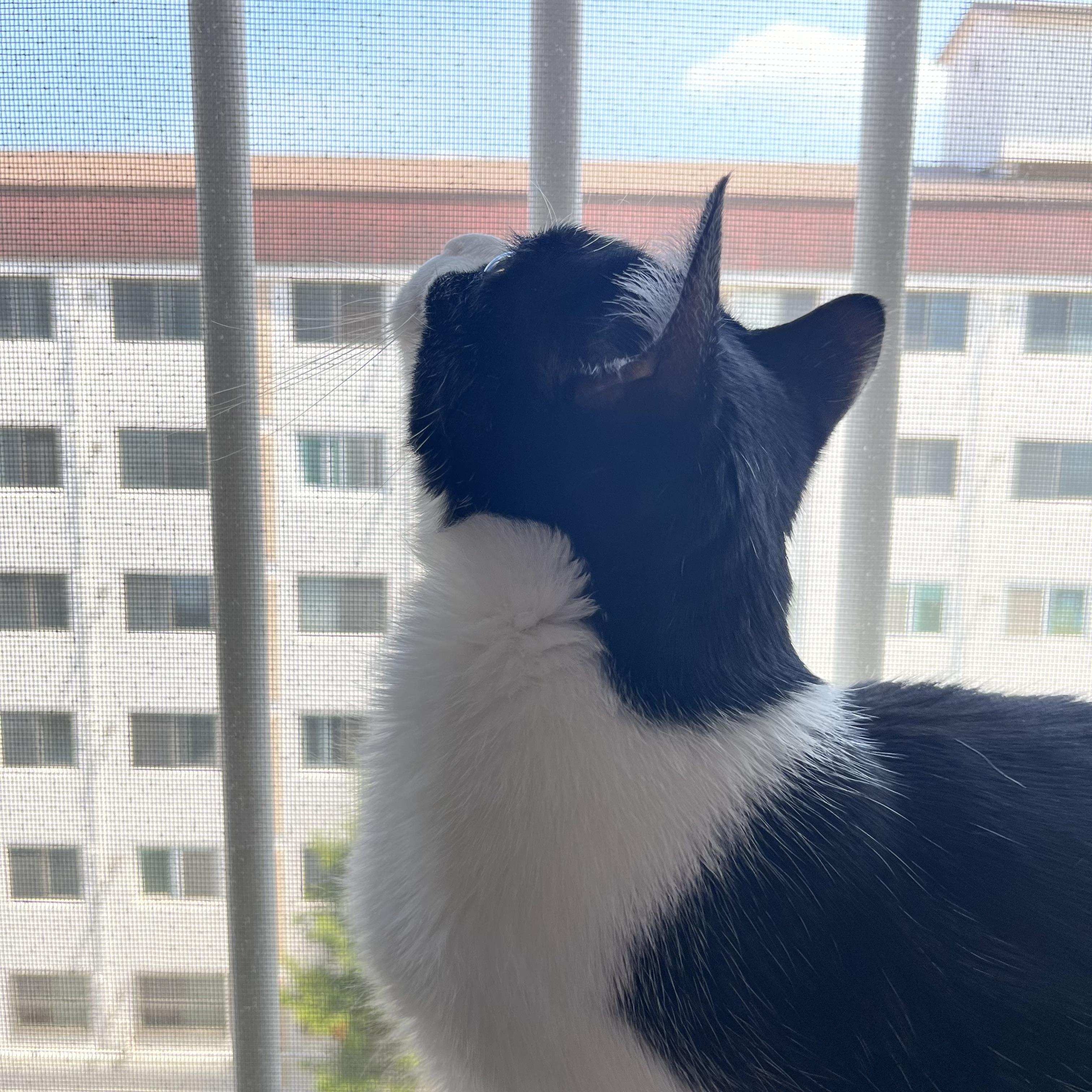 하망동 실거주자 사진 1
