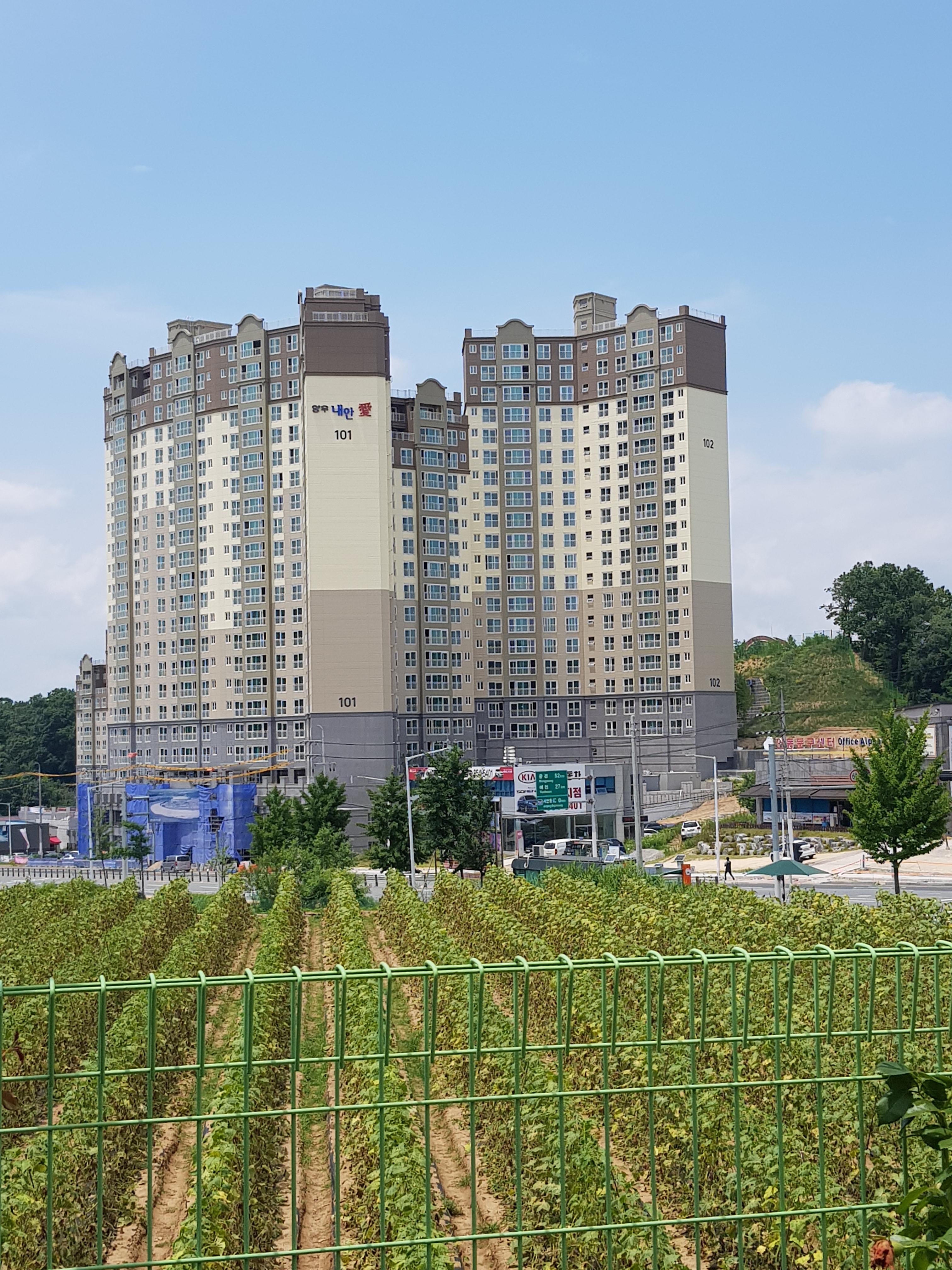 송현동 실거주자 사진 8