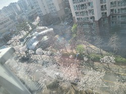 내발산동 실거주자 사진 6