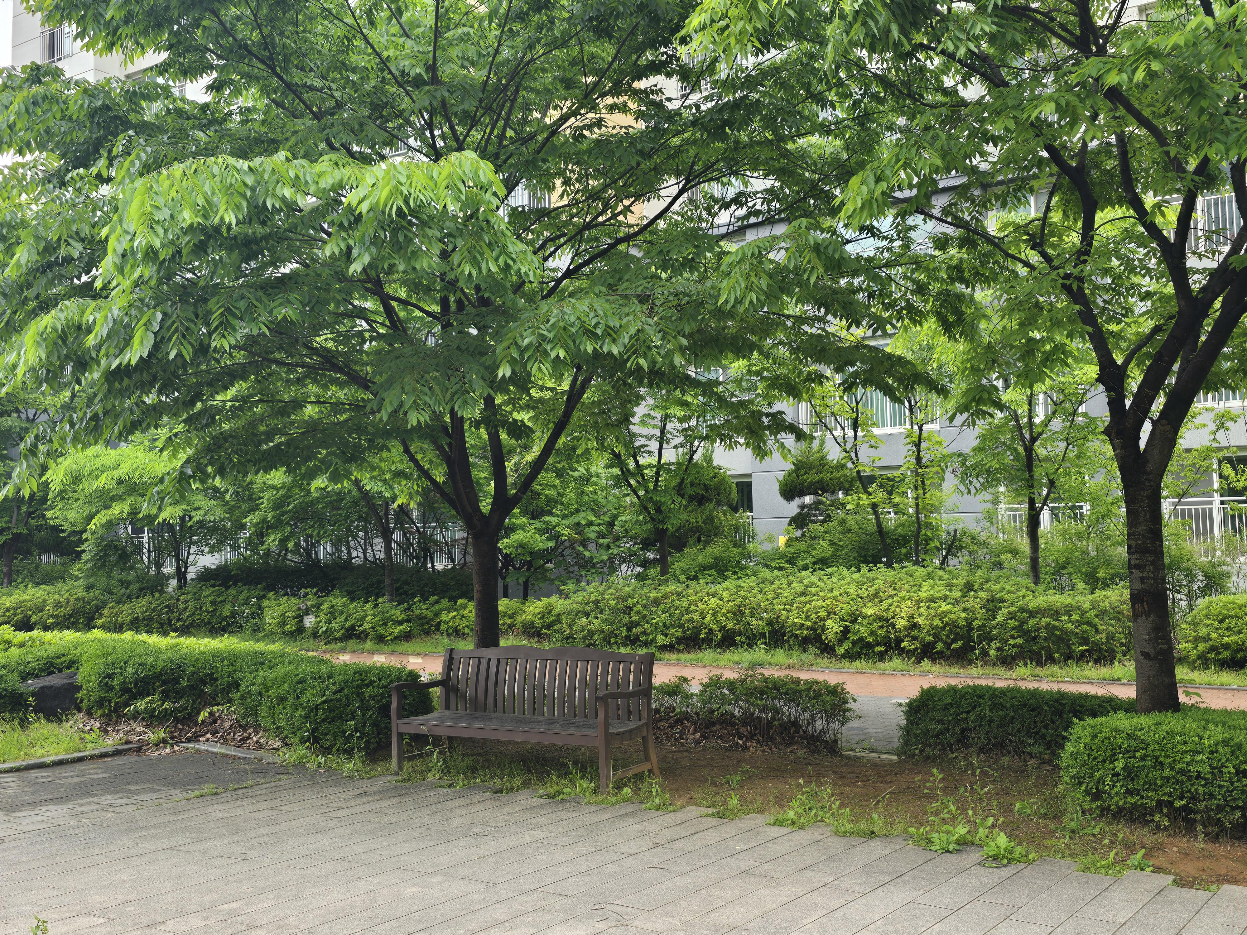 옥길동 실거주자 사진 1