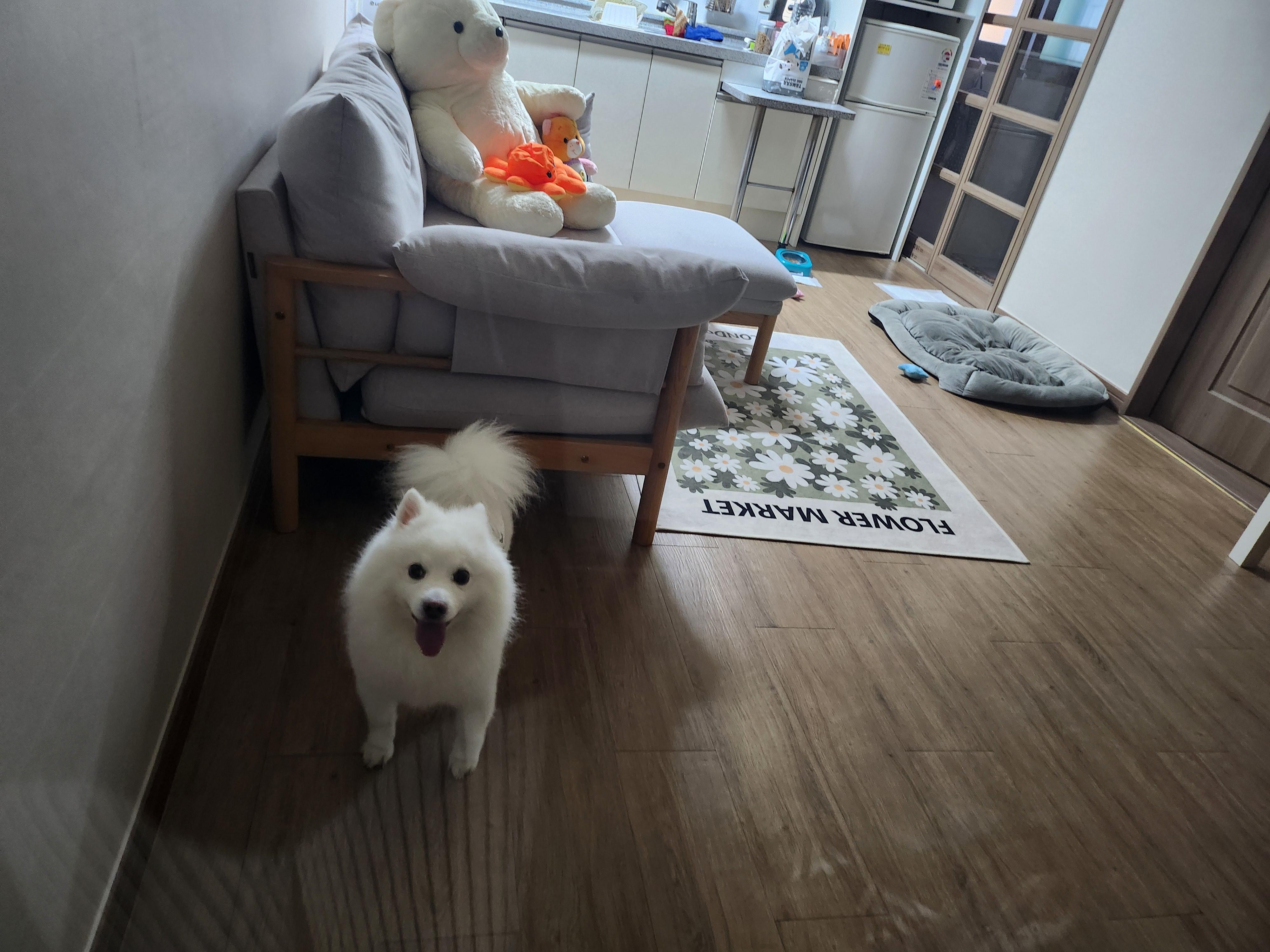 장림동 실거주자 사진 6