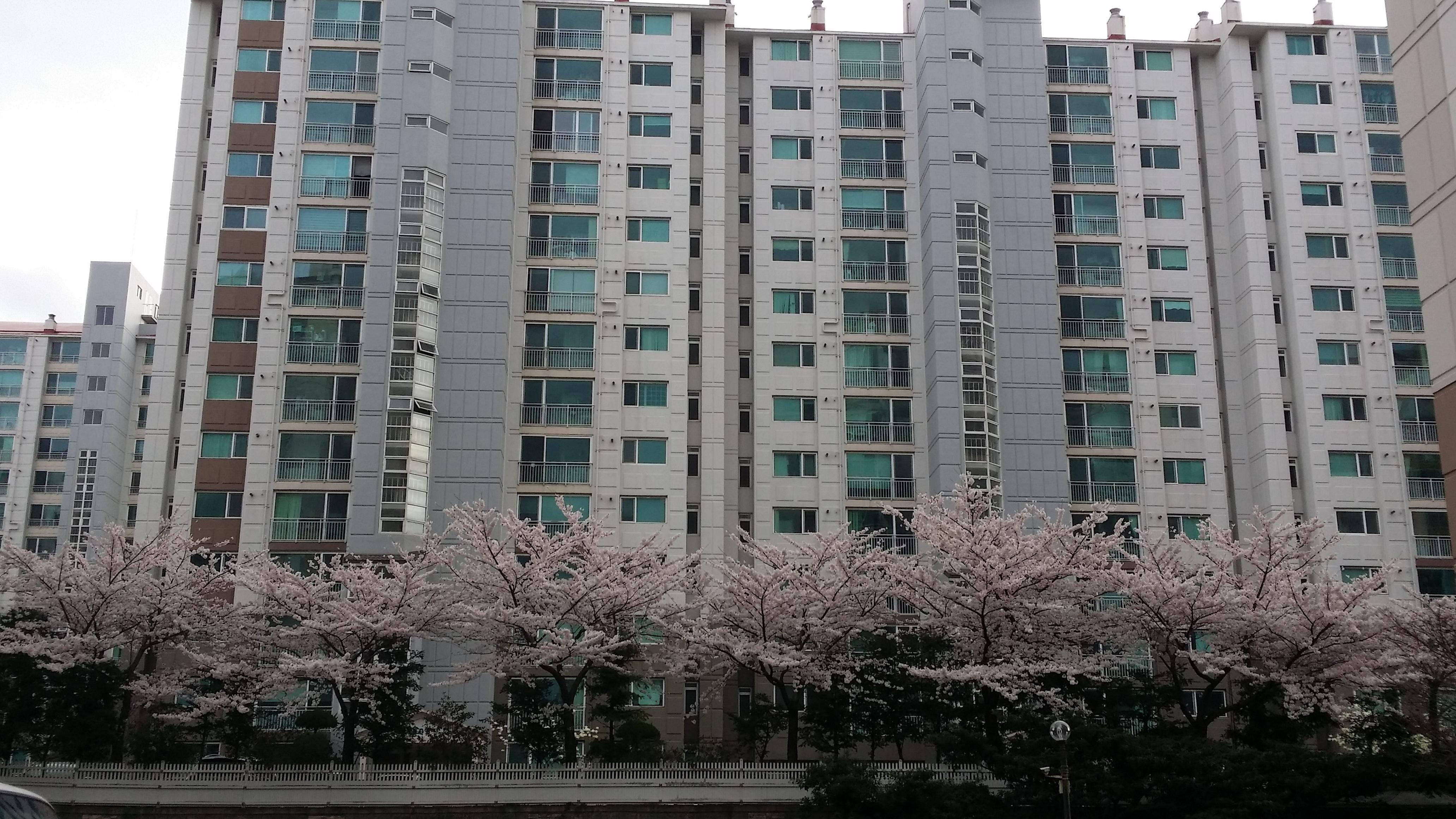 노형동 실거주자 사진 4
