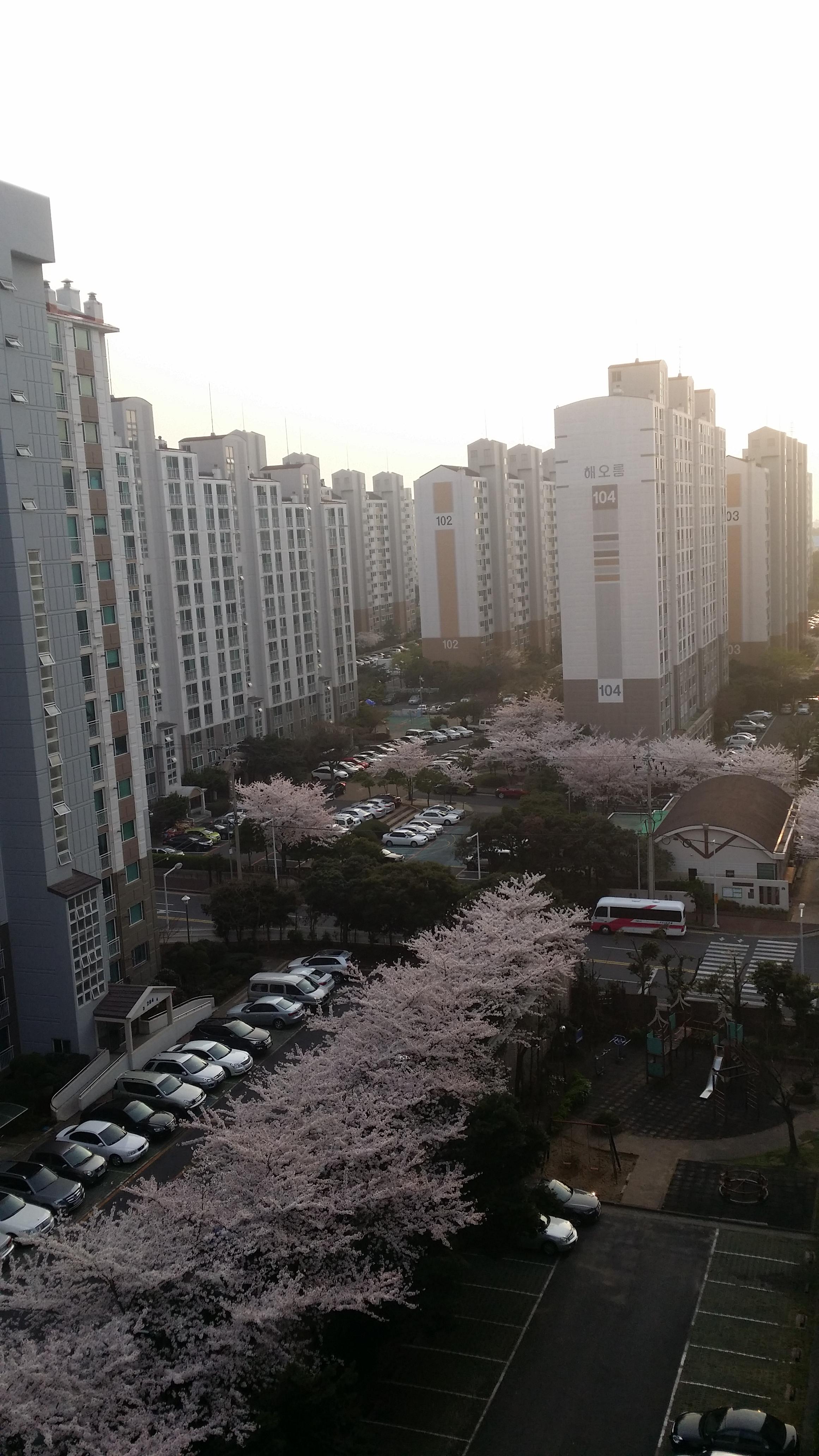 노형동 실거주자 사진 5