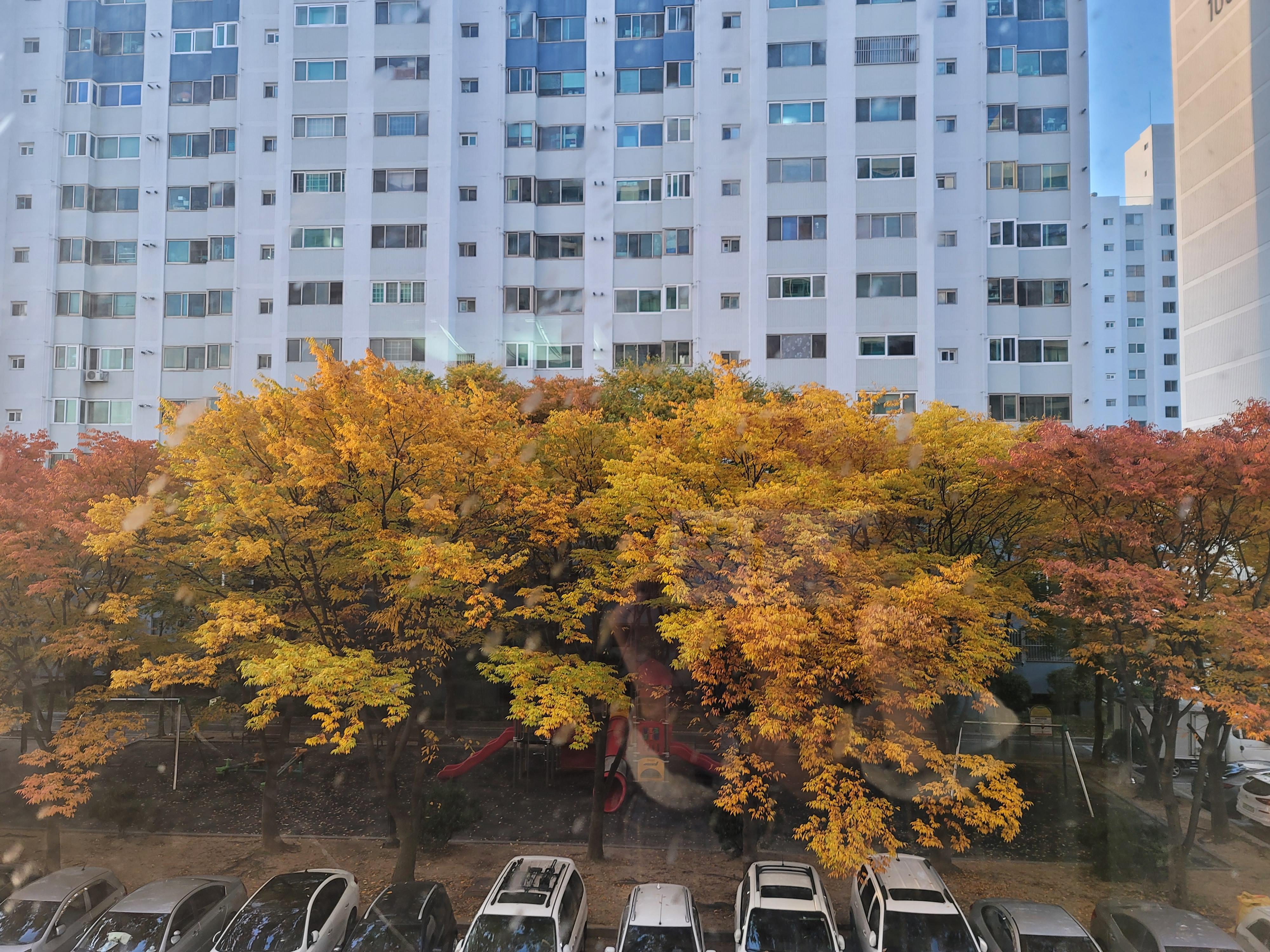 복룡동 실거주자 사진 5