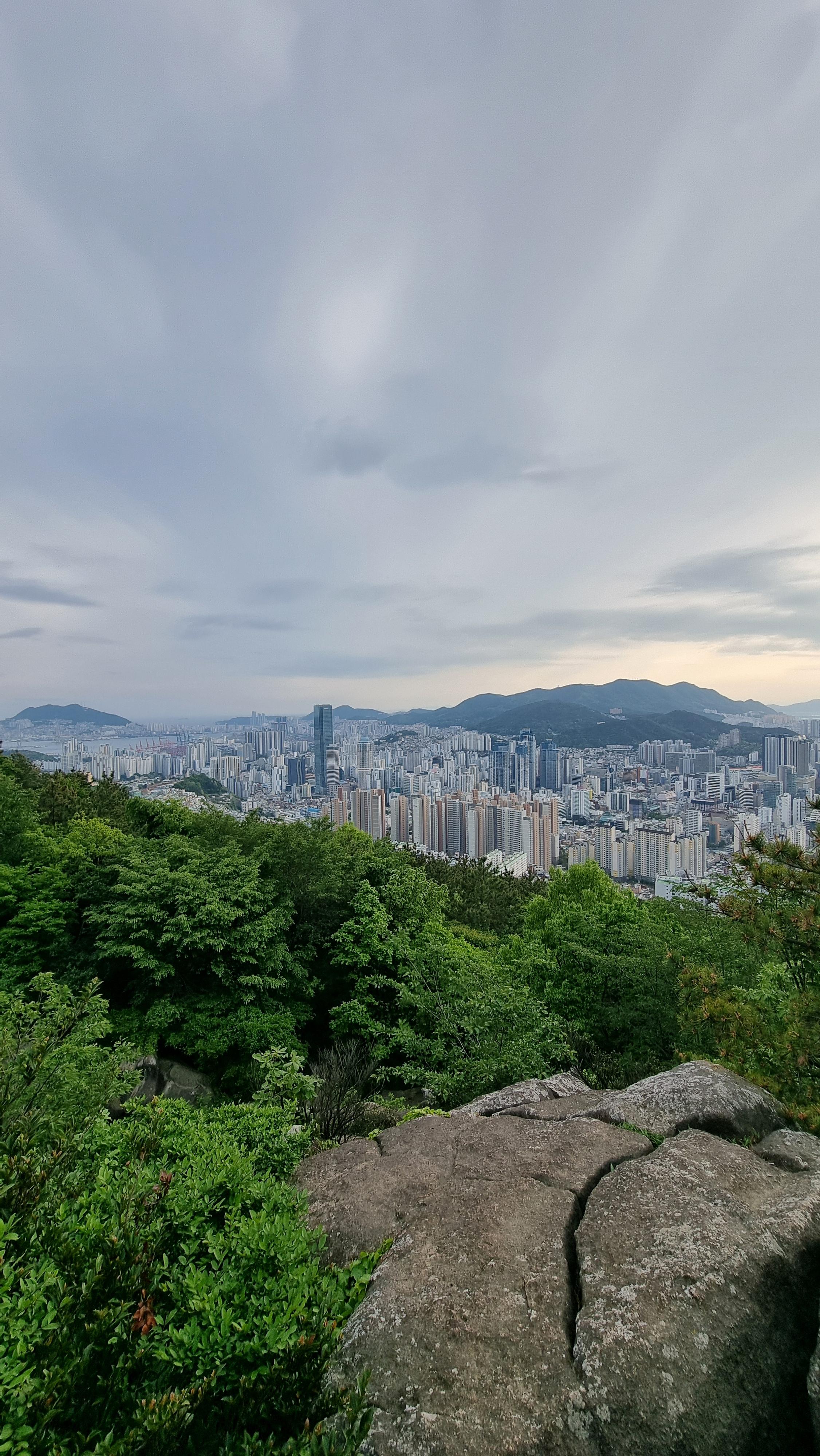 문현동 실거주자 사진 2