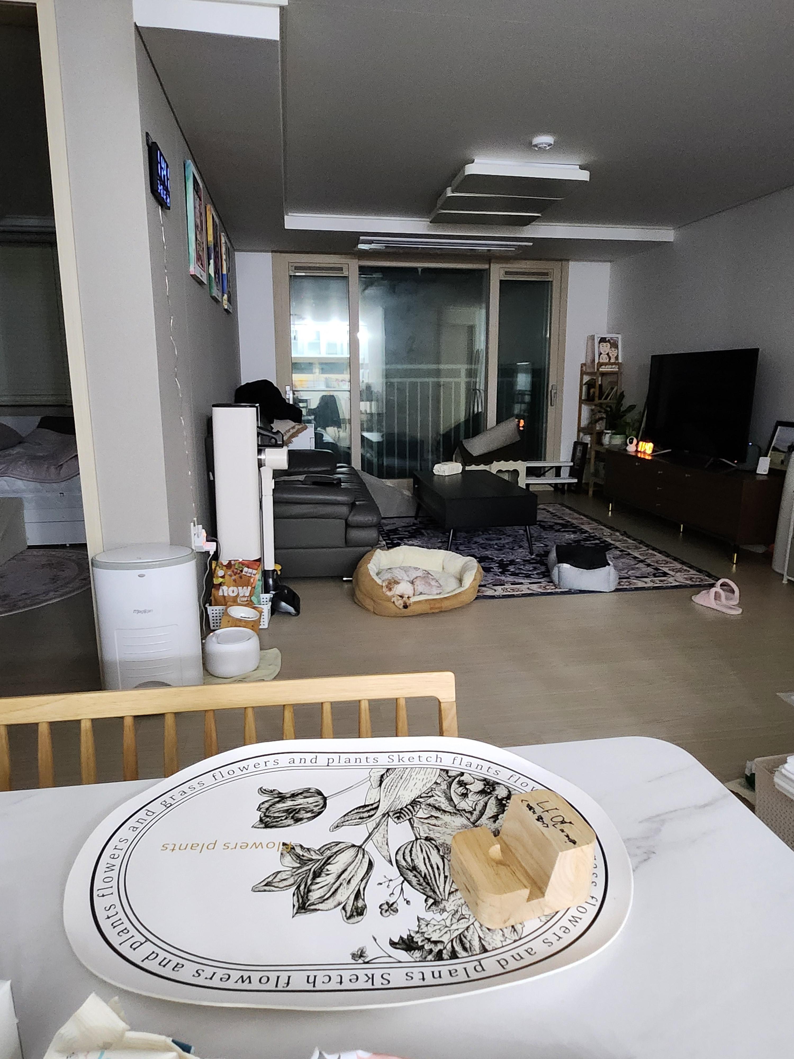 동홍동 실거주자 사진 5