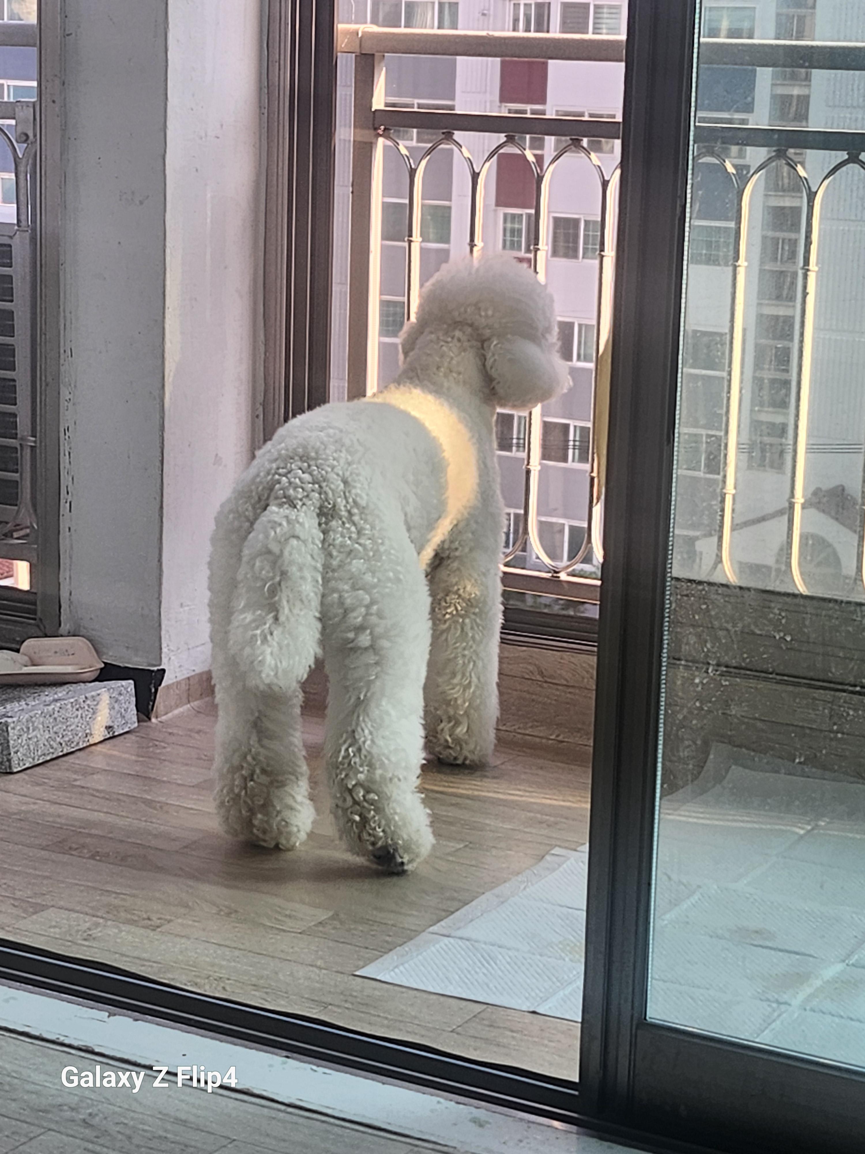 완월동 실거주자 사진 3