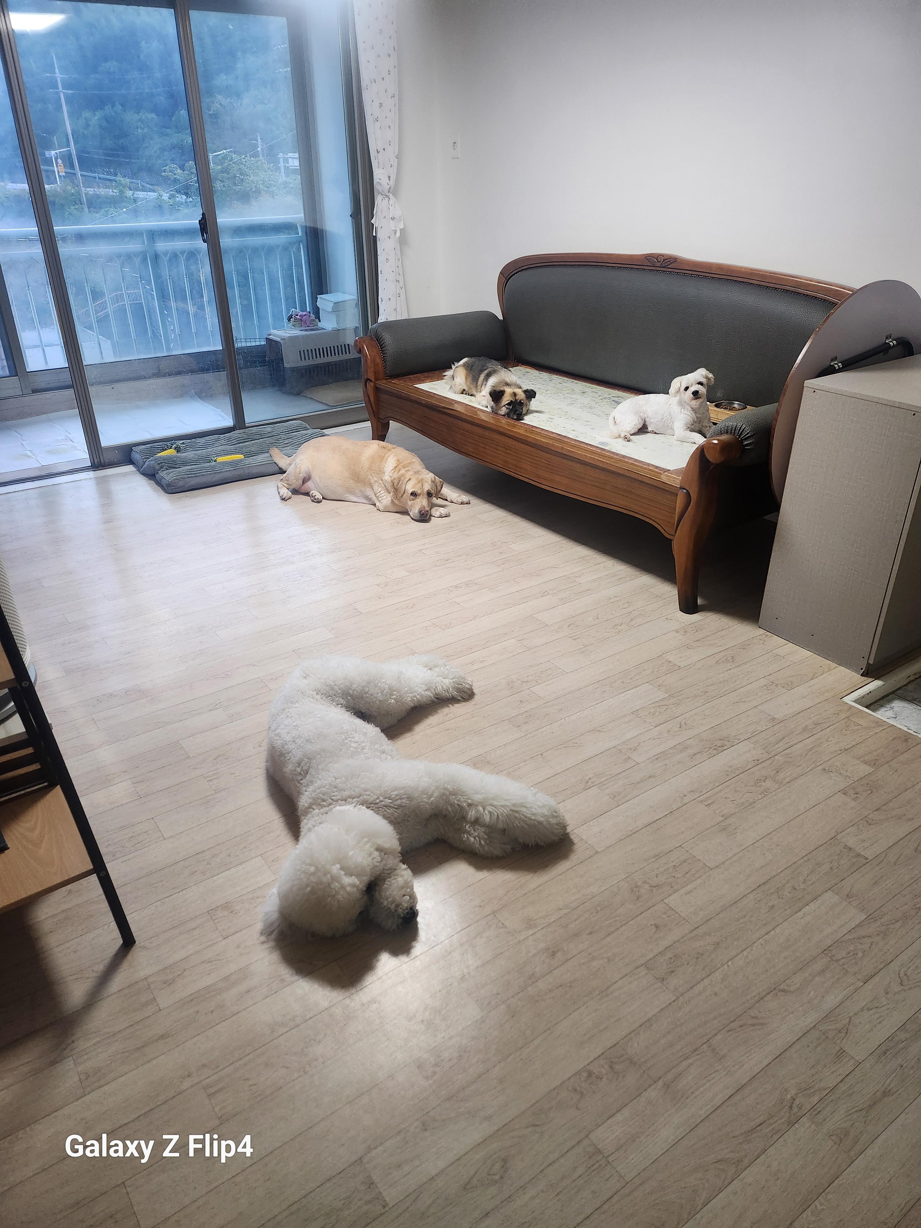 완월동 실거주자 사진 2