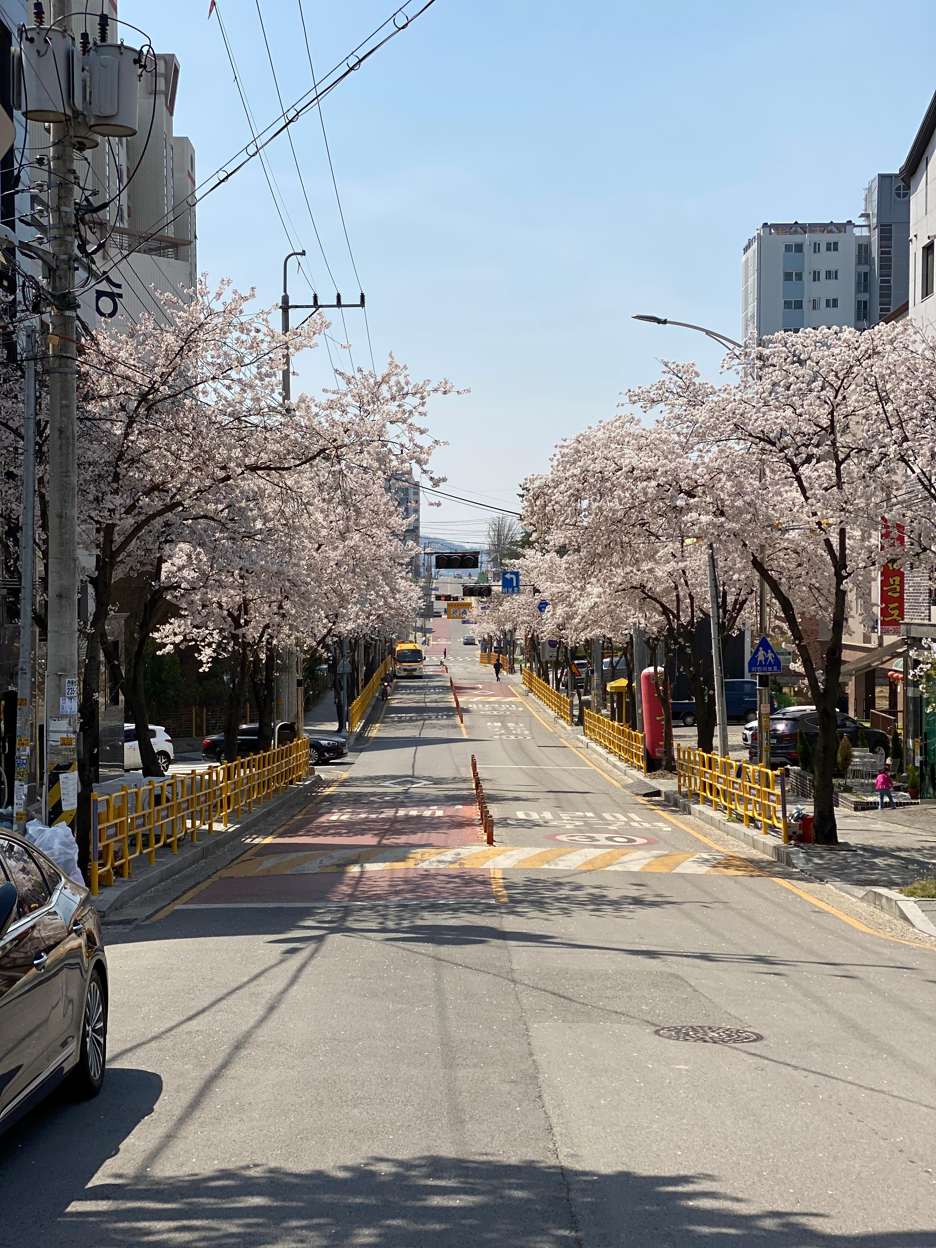 송산동 실거주자 사진 1