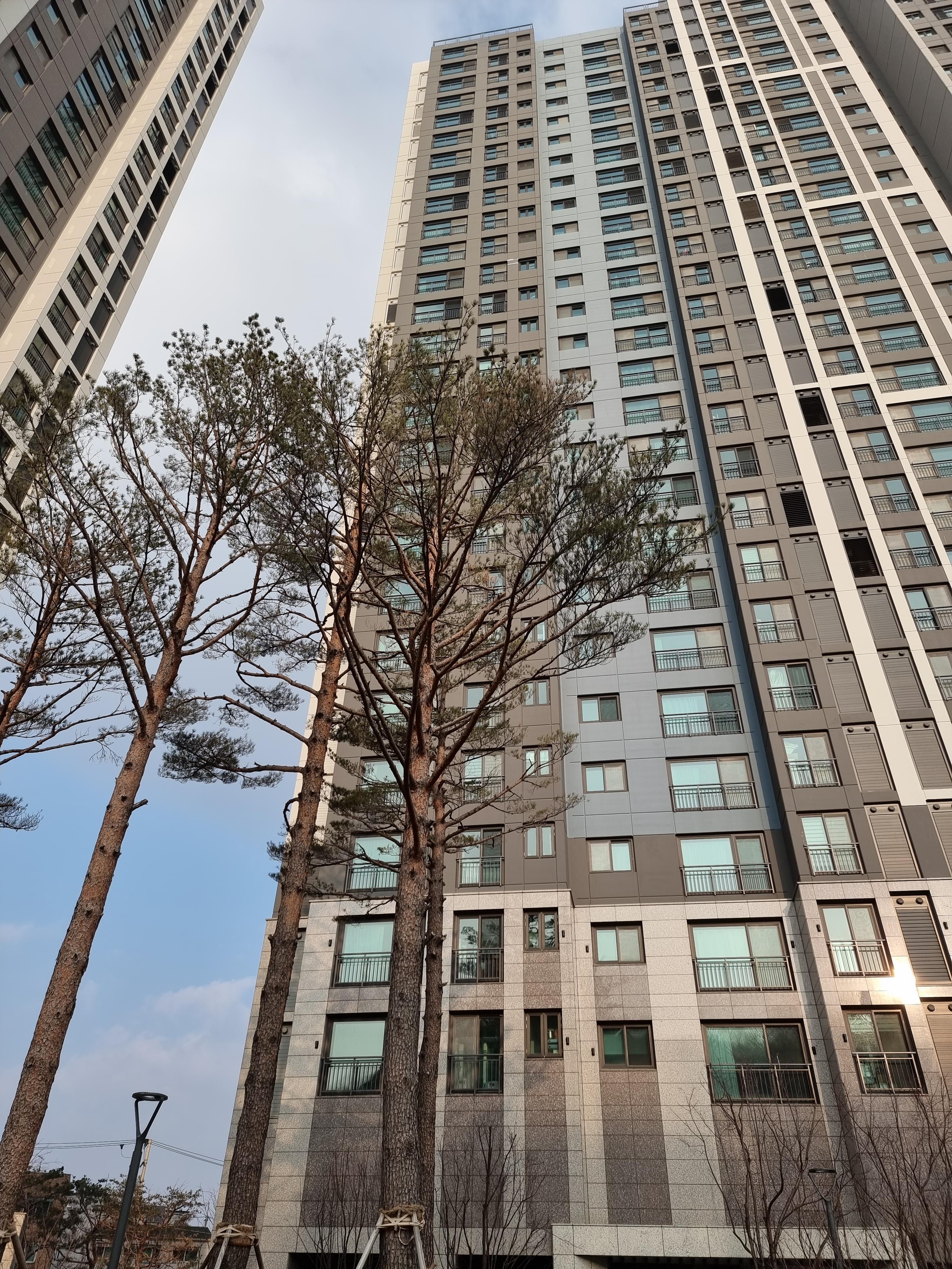 고잔동 실거주자 사진 8