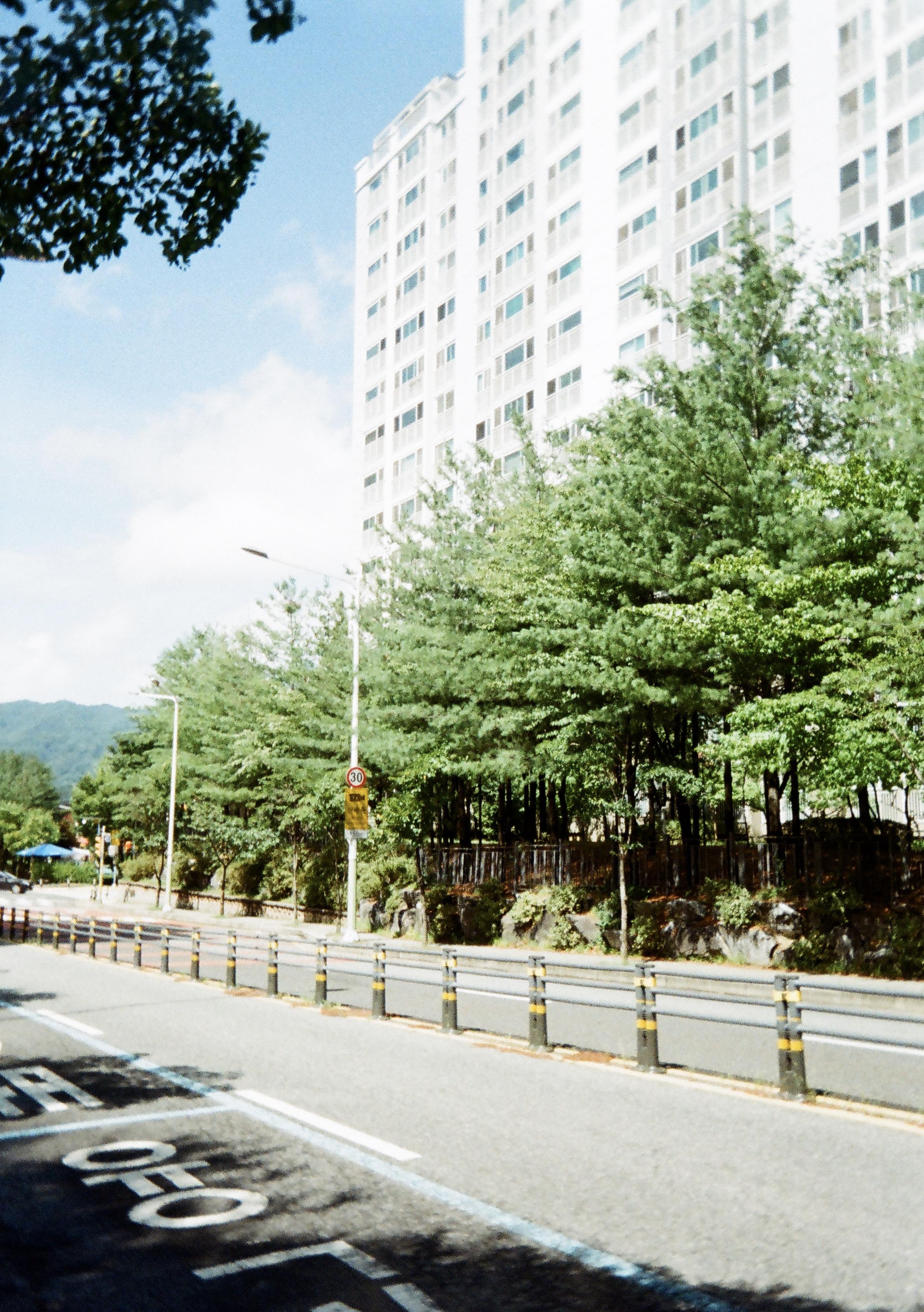 가오동 실거주자 사진 2
