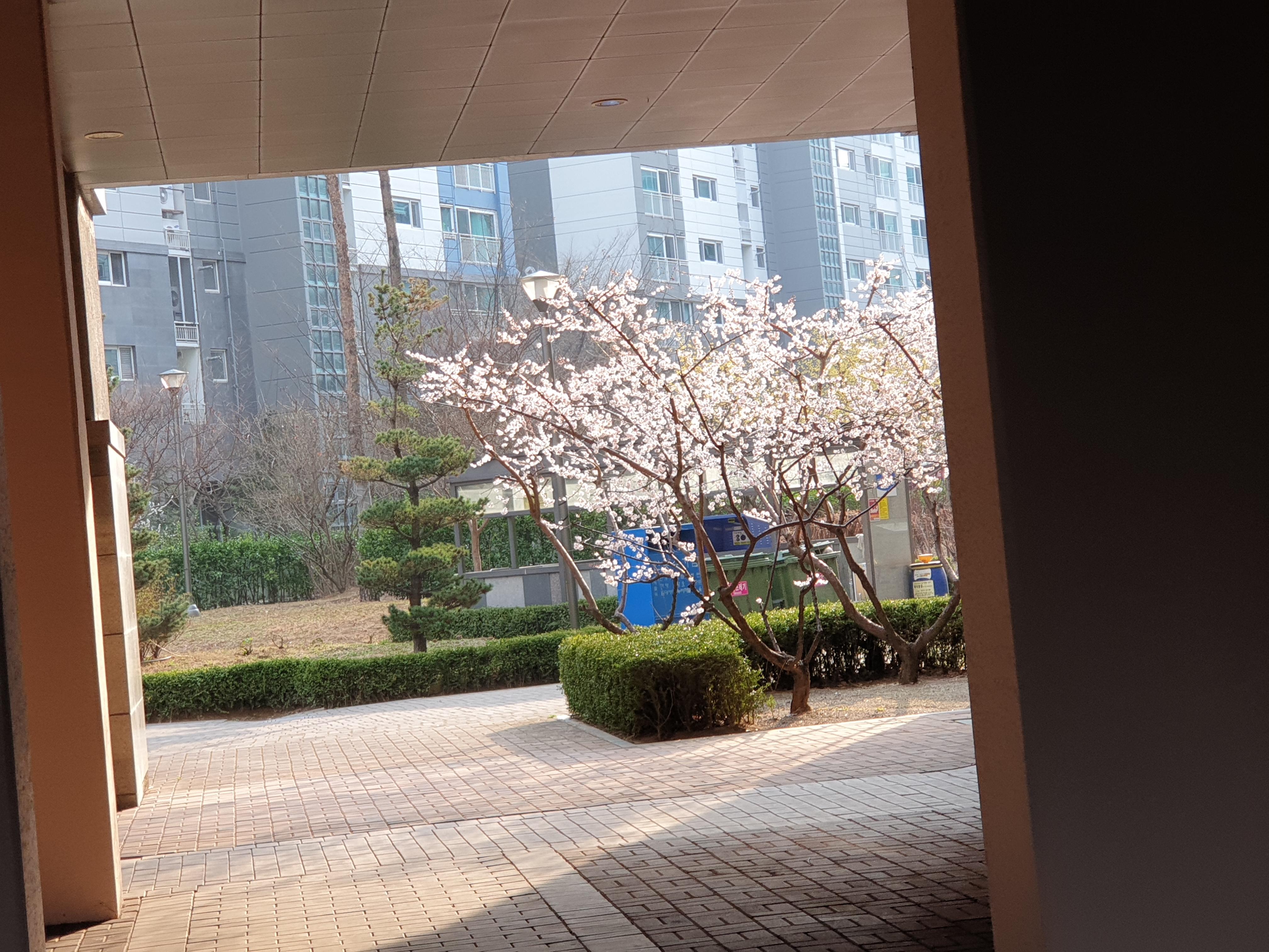 상동 실거주자 사진 4
