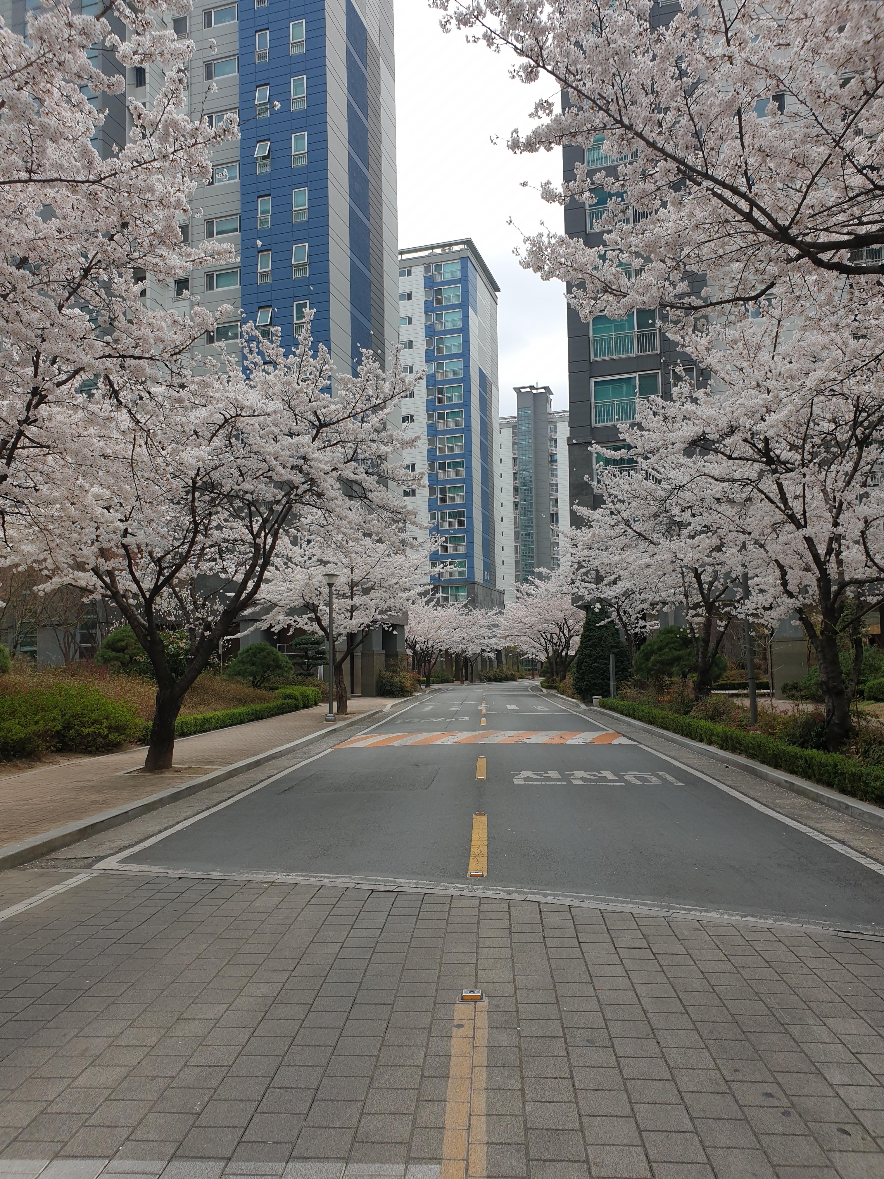 상동 실거주자 사진 3