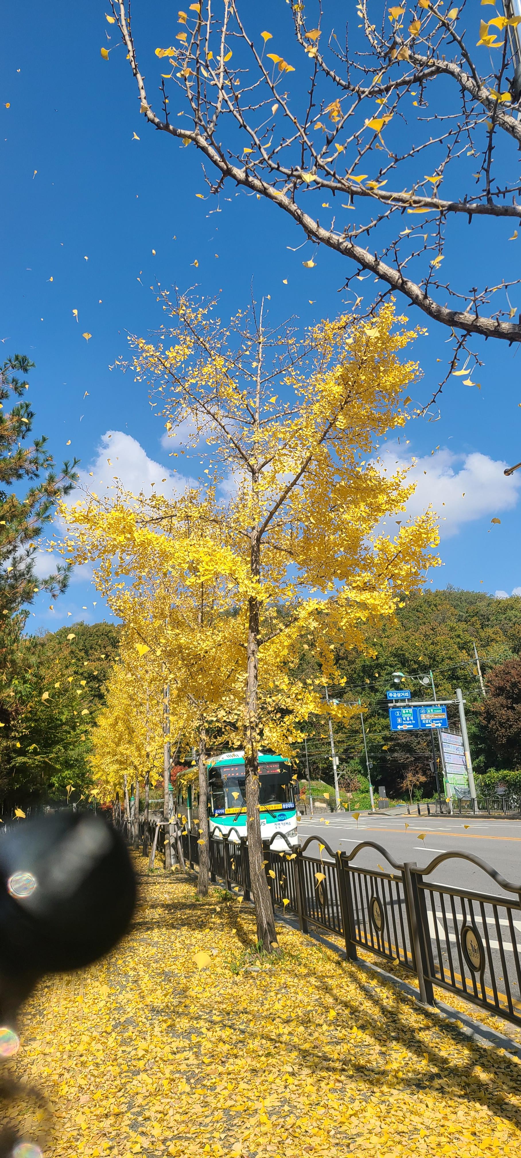 고암동 실거주자 사진 2
