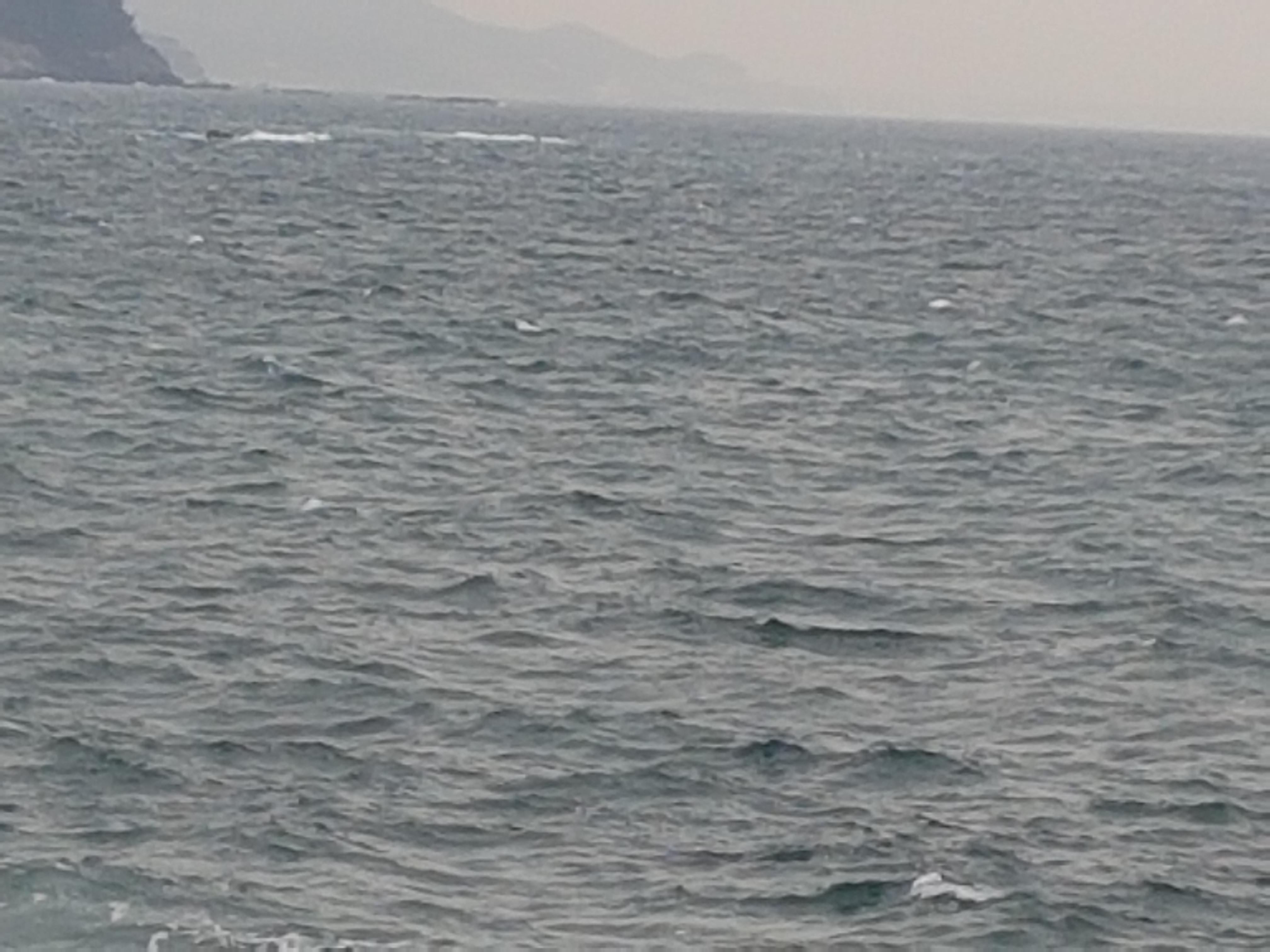산하동 실거주자 사진 3