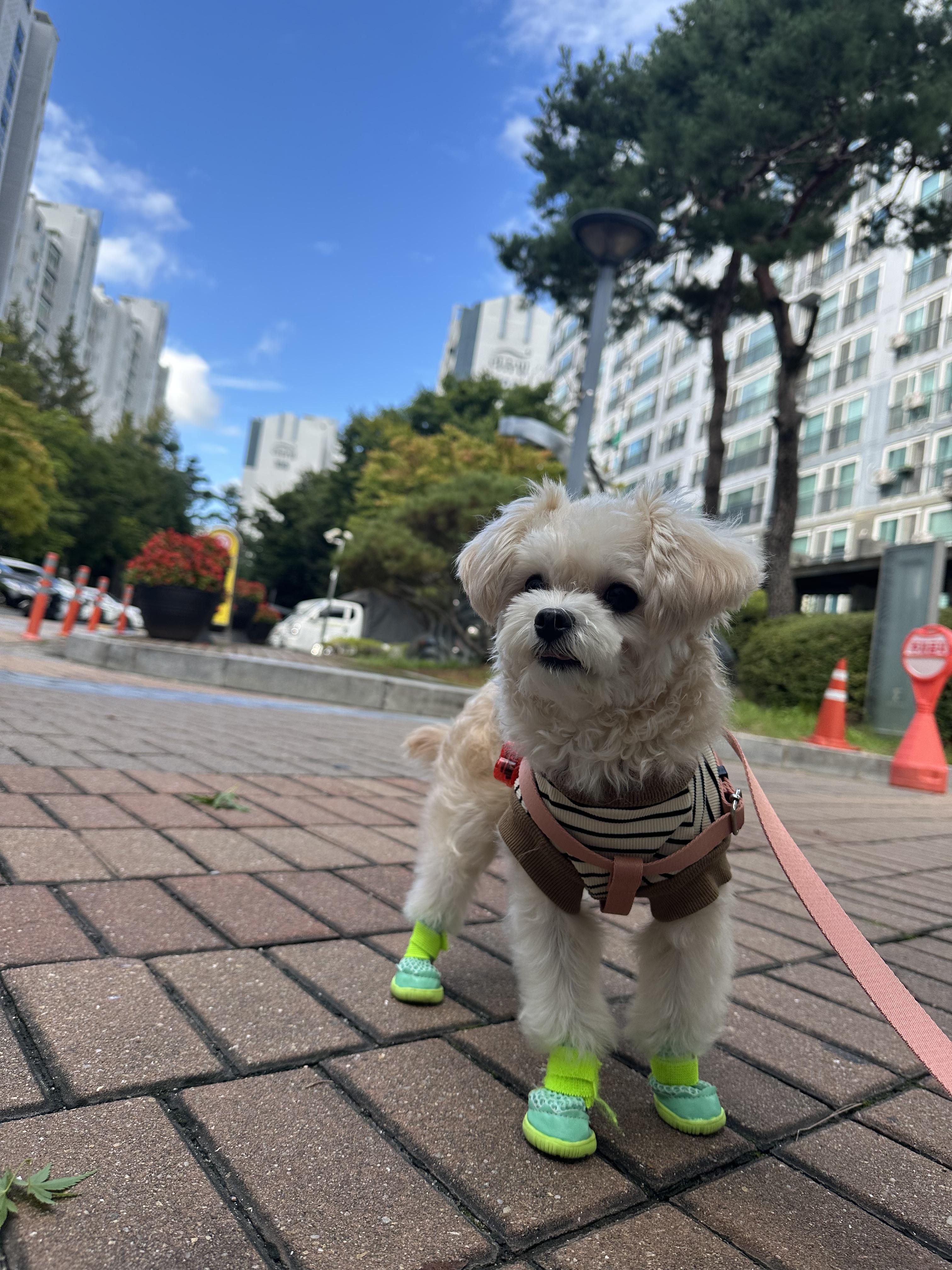 산남동 실거주자 사진 4