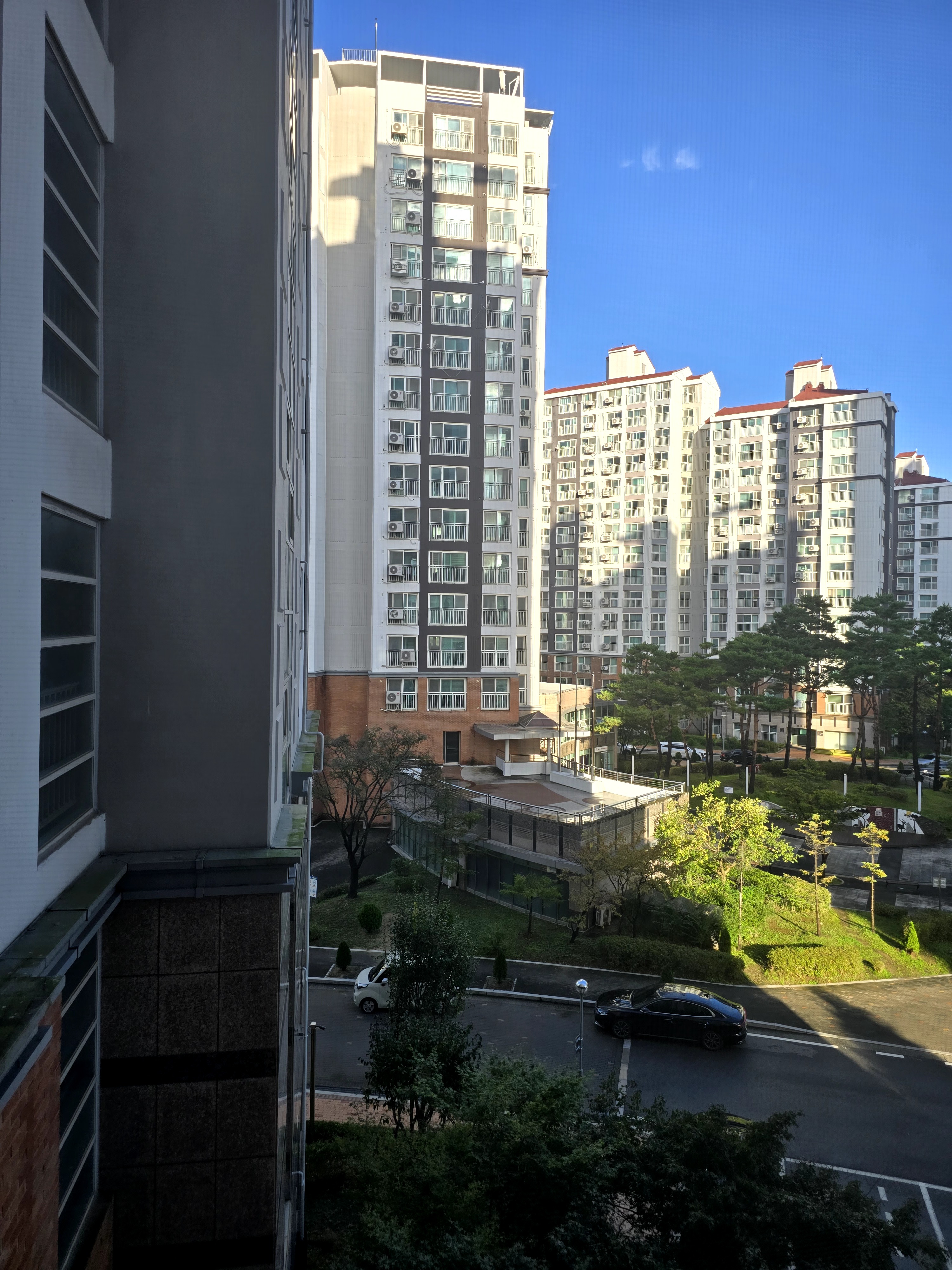 세교동 실거주자 사진 6