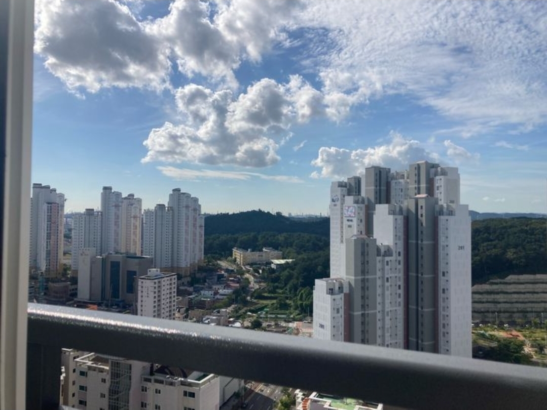 야음동 실거주자 사진 7
