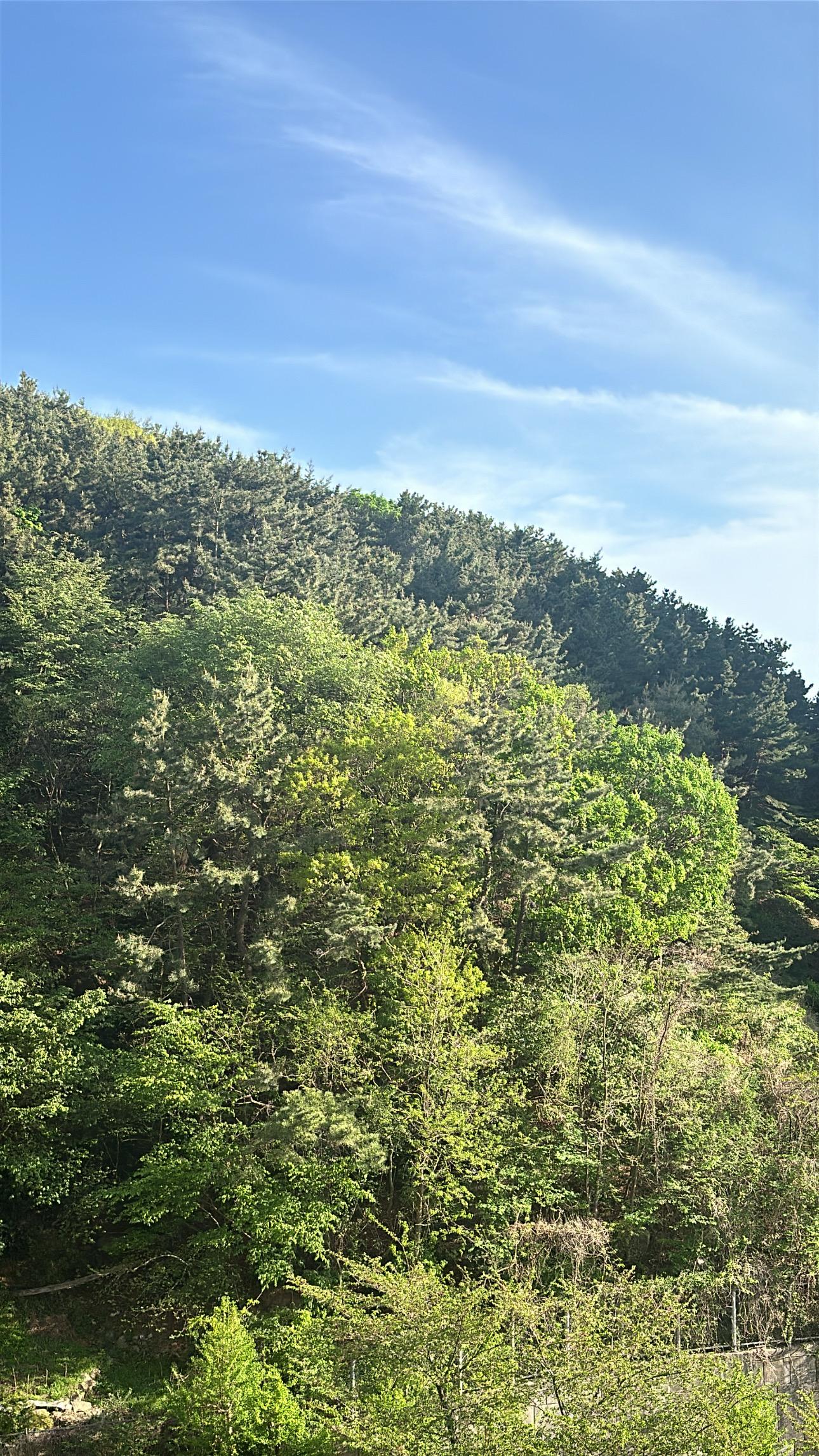 모라동 실거주자 사진 6