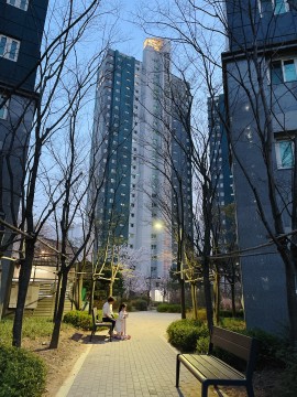 배곧동 실거주자 사진 8