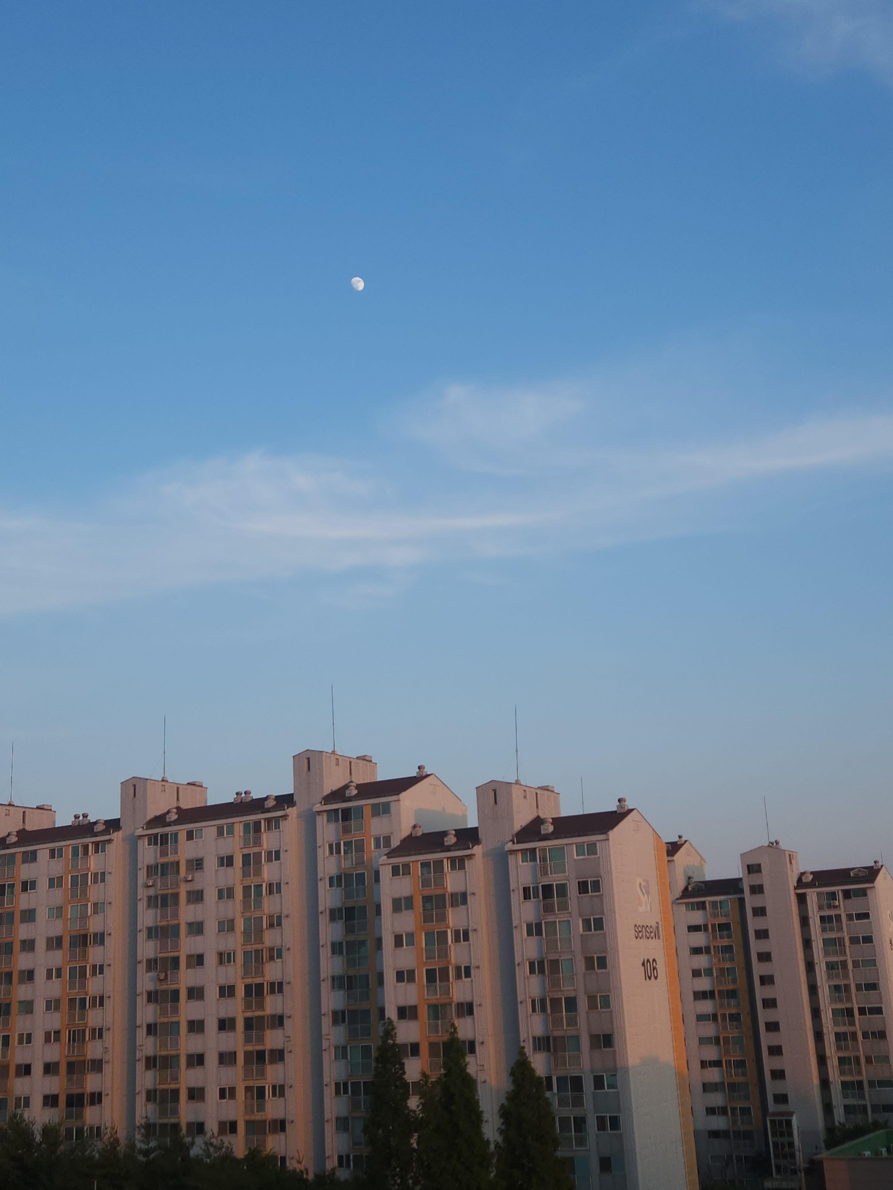 석남동 실거주자 사진 6