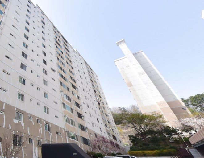 안락동 실거주자 사진 4